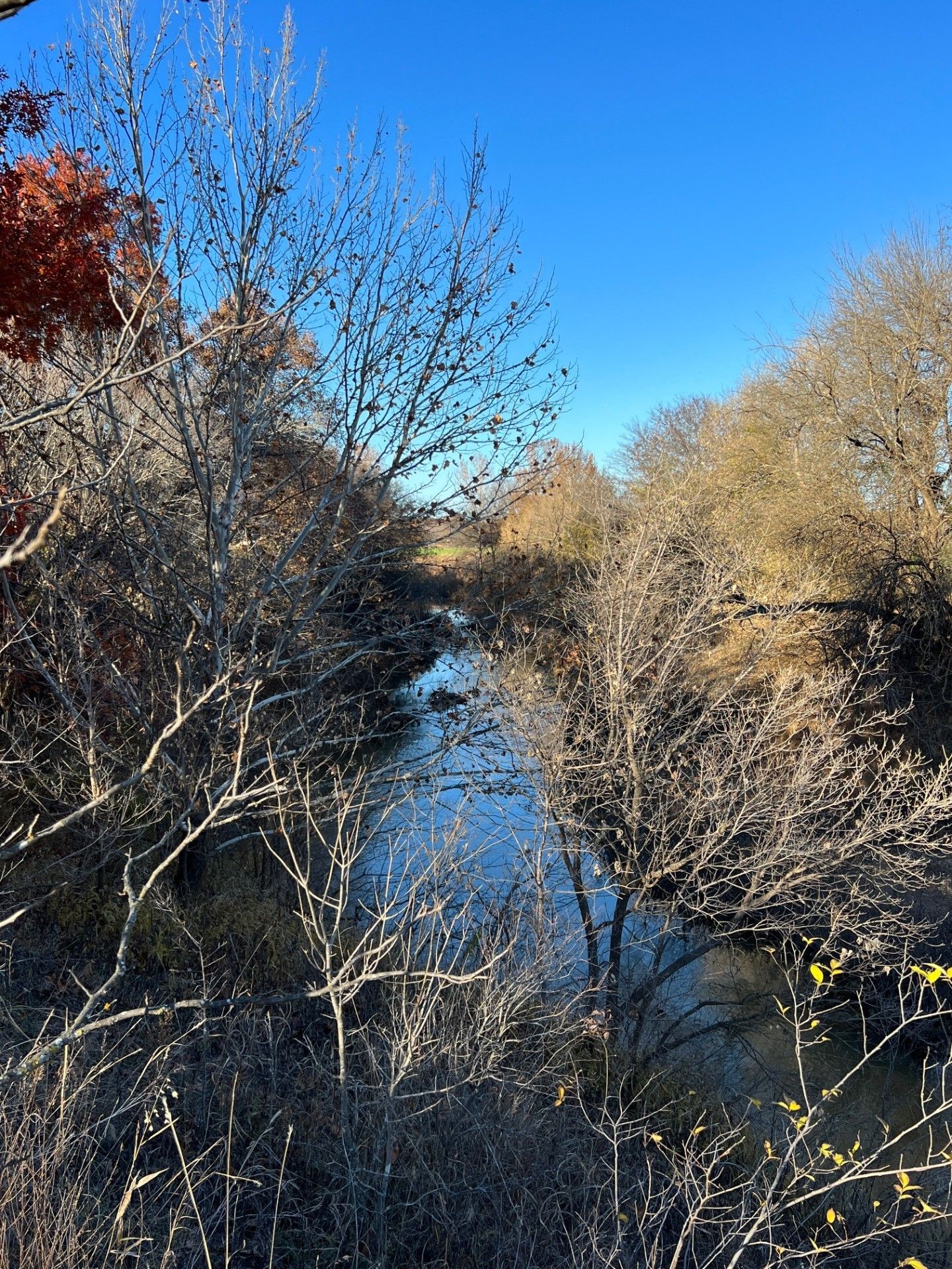 65 Acres, (65 Acres) Gene Autry Area 5 Miles N.E. Of Ardmore, Ardmore