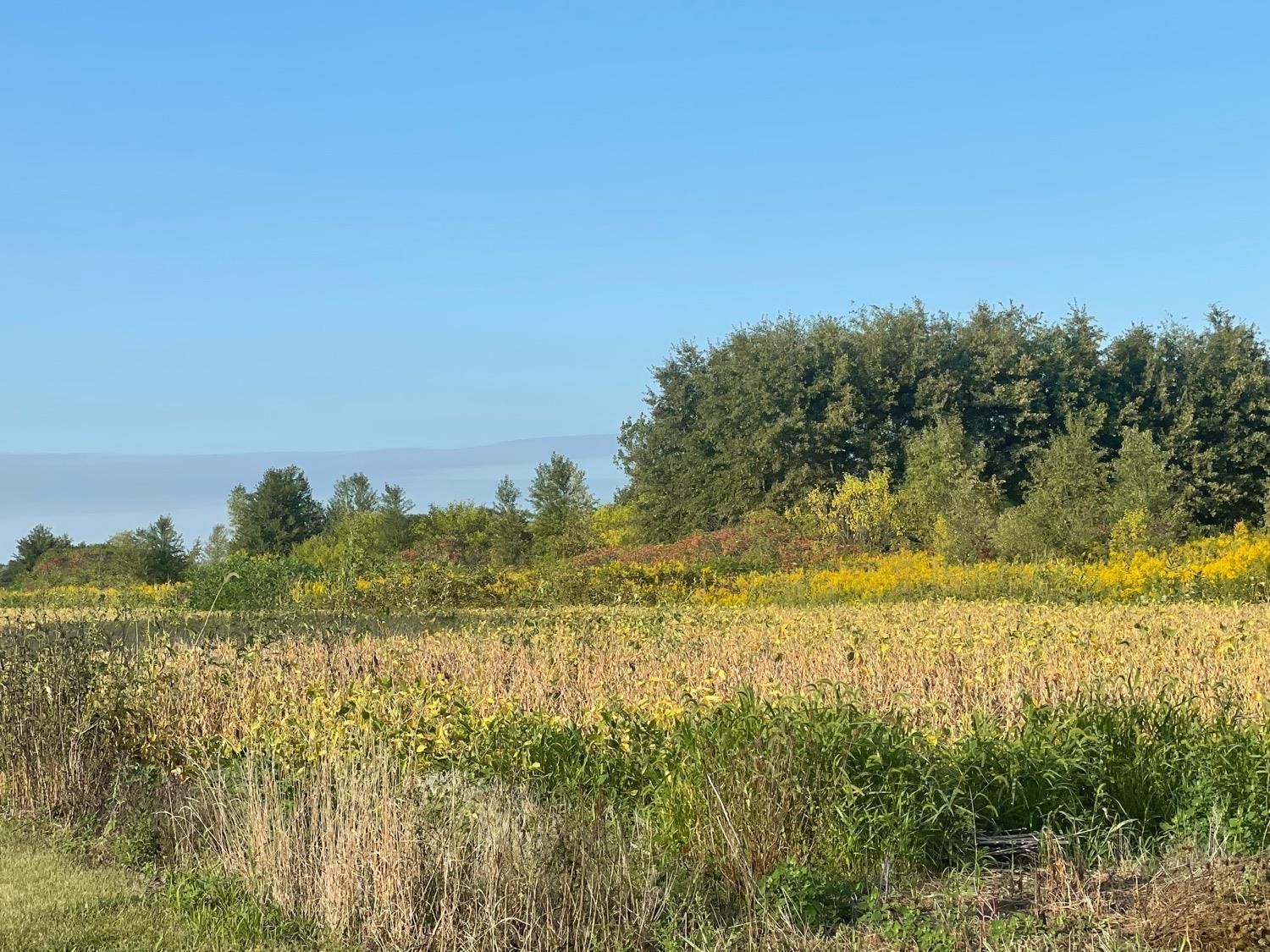 10 Acres, 0 E 500 S, Kouts, IN 46347 Land and Farm