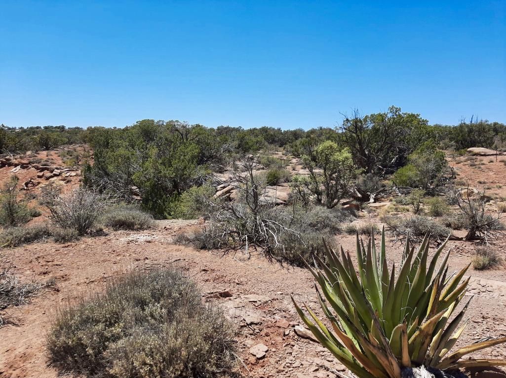 19.87 Acres, El Dorado Road, Snowflake, AZ 85937 Land and Farm