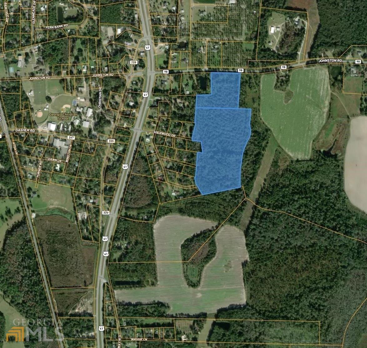 37.32 Acres, 000 Johnston Road, Valdosta, GA 31601 Land and Farm