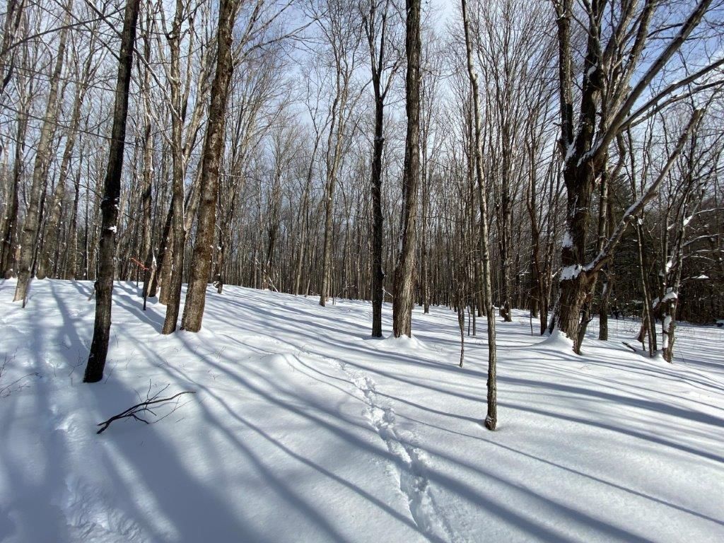 6 Acres, Coventry, NY 13778 Land and Farm