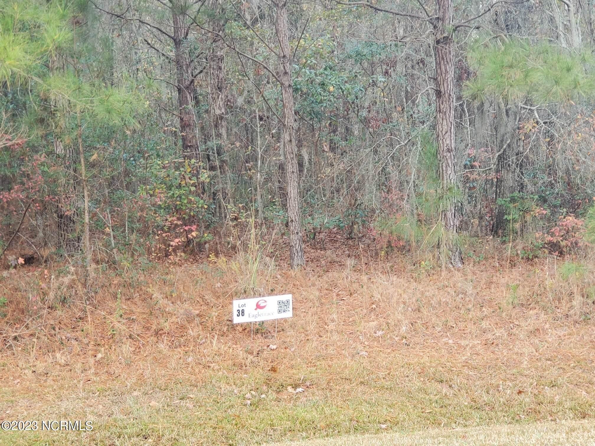 1.31 Acres, Lot 38 Eagle Trace Drive, Blounts Creek, NC 27814 Land