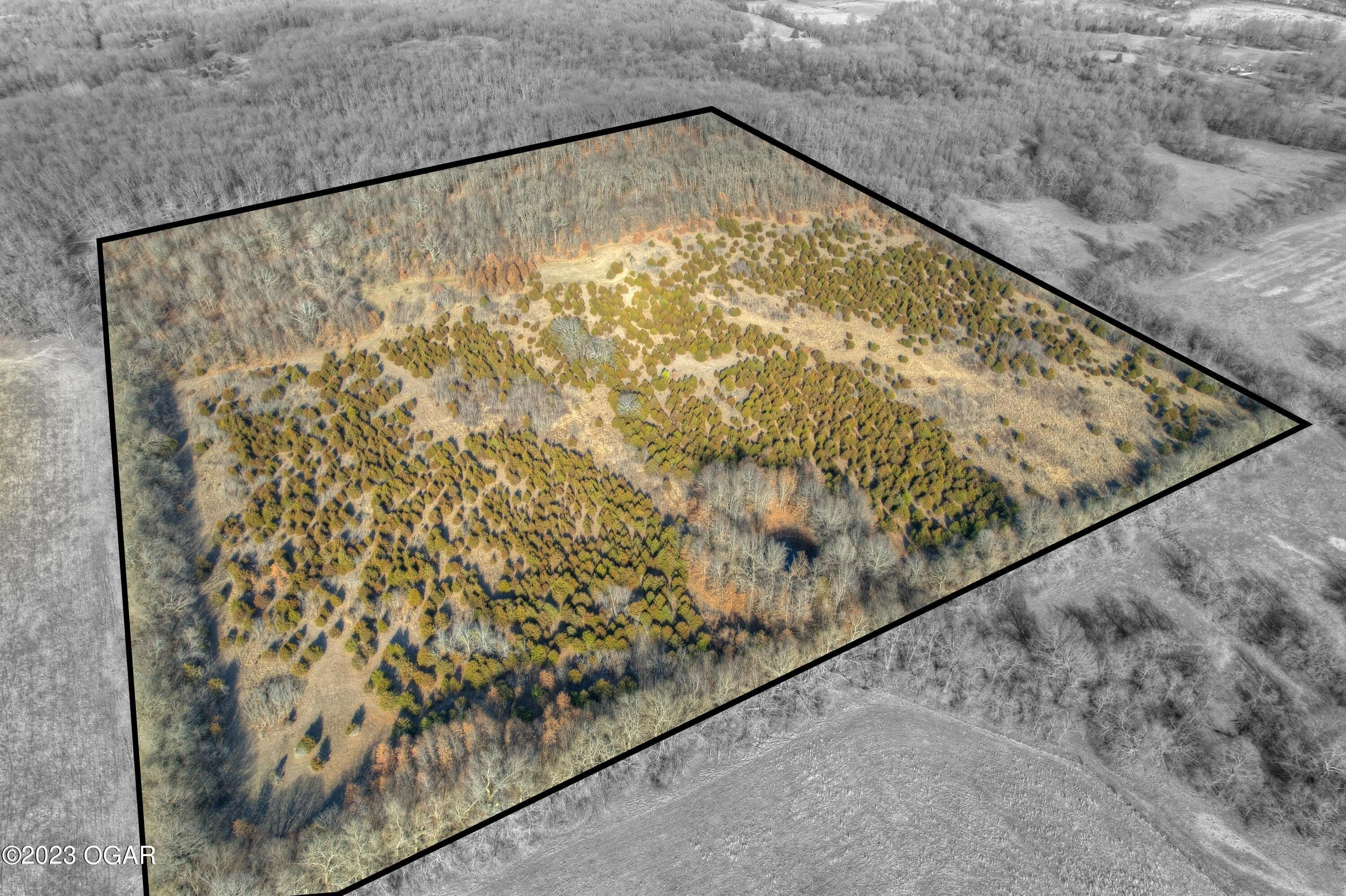 40 Acres, 000 1401 Road, Stockton, MO 65785 Land and Farm