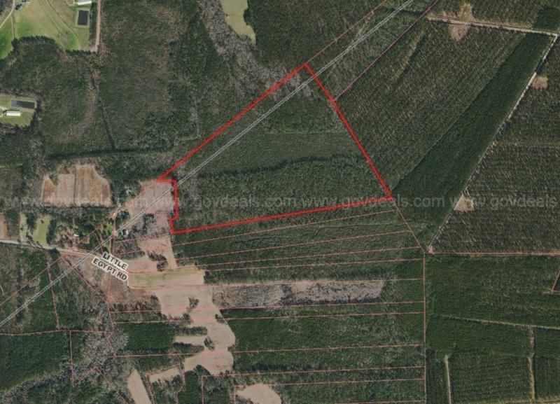 100 Acres, Little Egypt Road, Willard, NC 28478 Land and Farm
