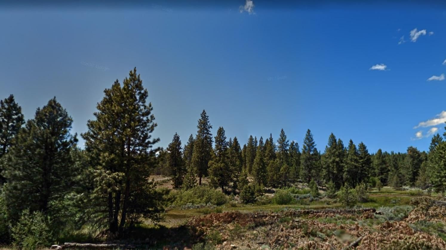 Cardinal, Bonanza, OR 97623 Land and Farm