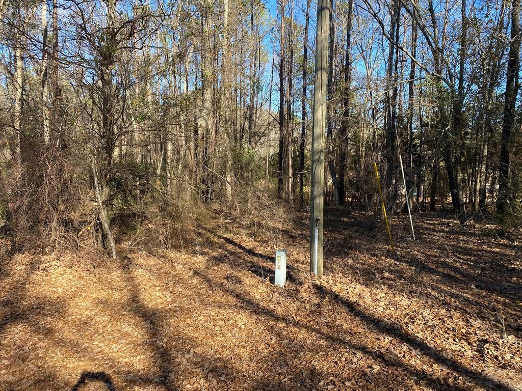 0.23 Acres, Lot 22 Lot 22, Troy, AL 36081 Land and Farm