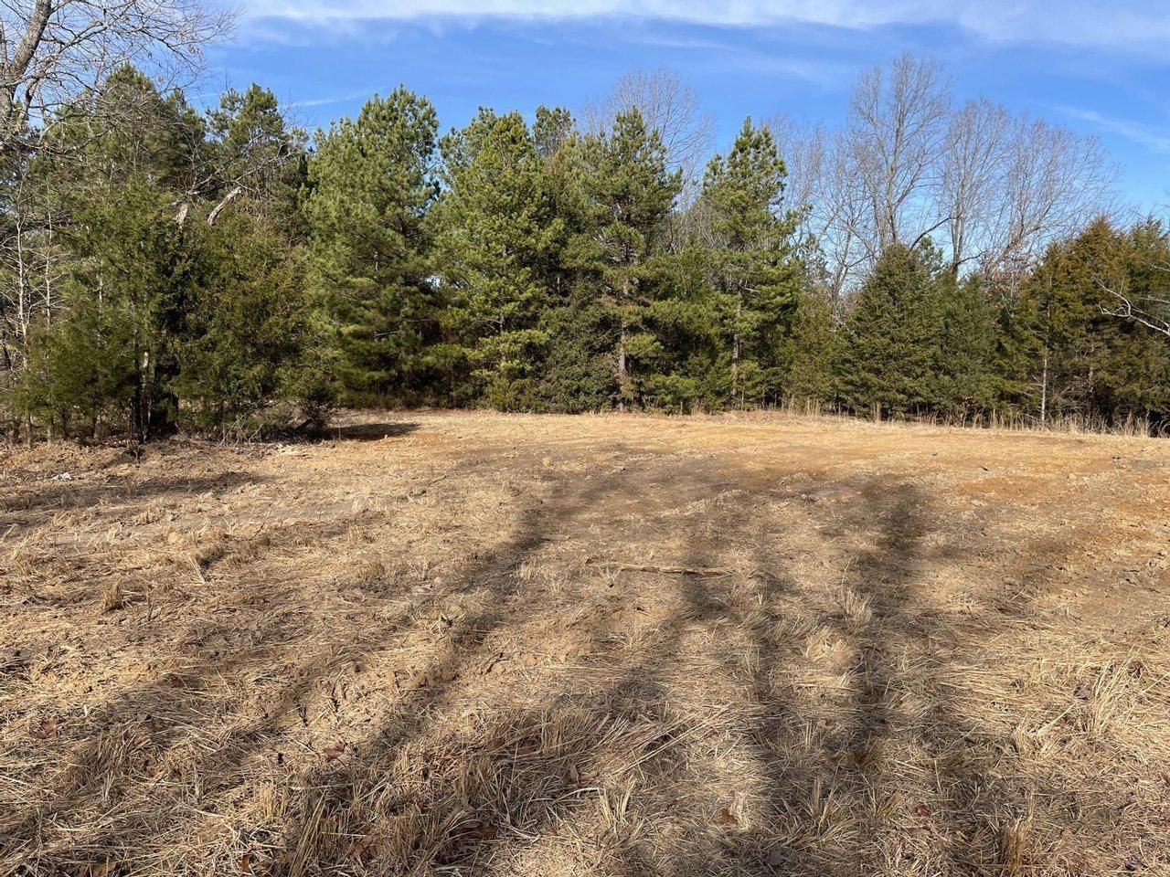 4.32 Acres, Toadpole Rd, Sidney, AR 72577 Land and Farm