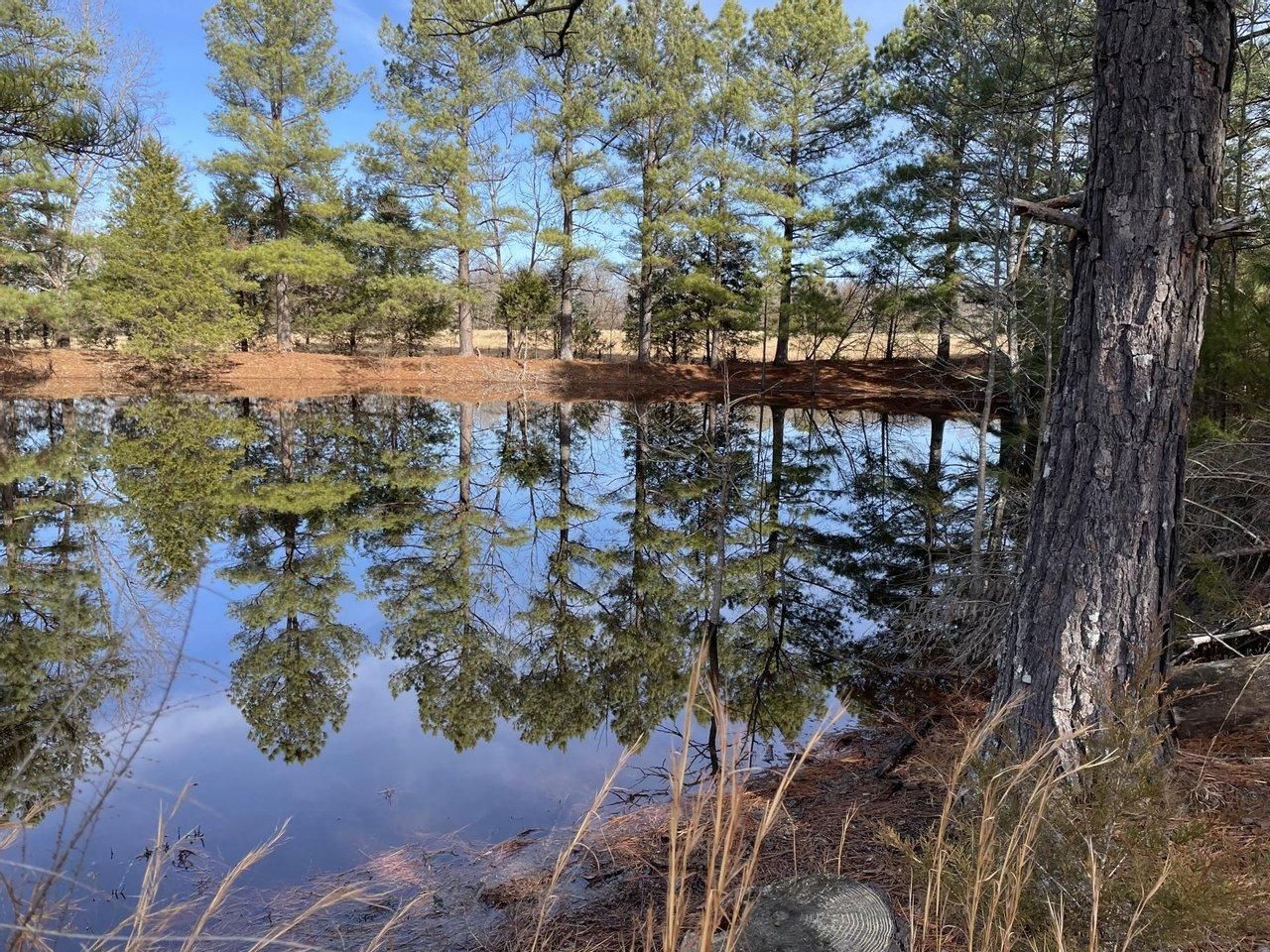 5.18 Acres, Toadpole Rd, Sidney, AR 72577 Land and Farm