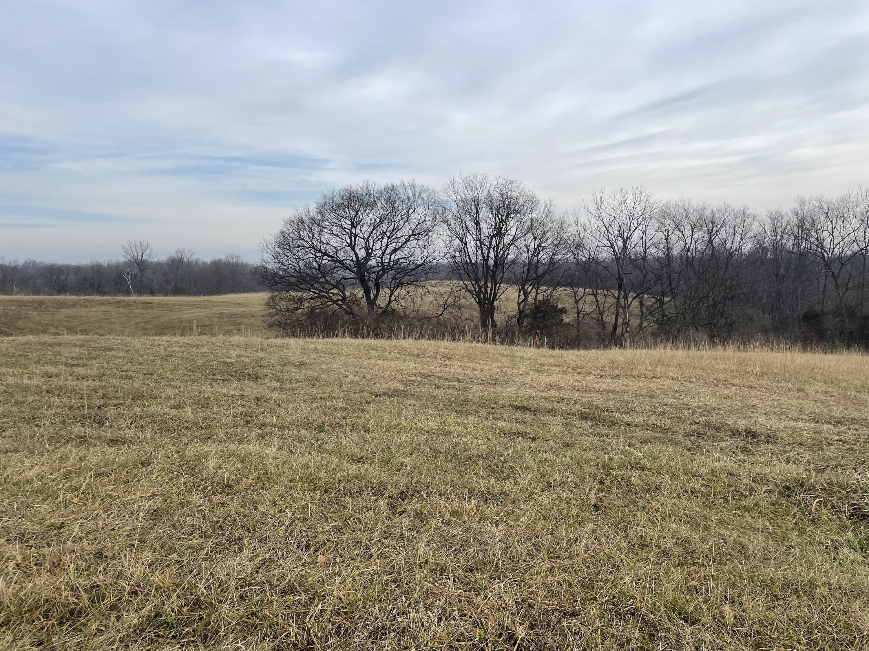 1.64 Acres, 1760 35 HWY, Sparta, KY 41083 Land and Farm