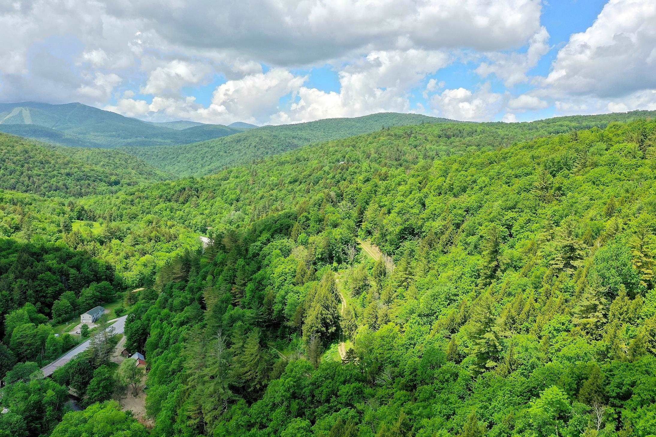 65.46 Acres, US Route 4, Bridgewater, VT 05034 Land and Farm