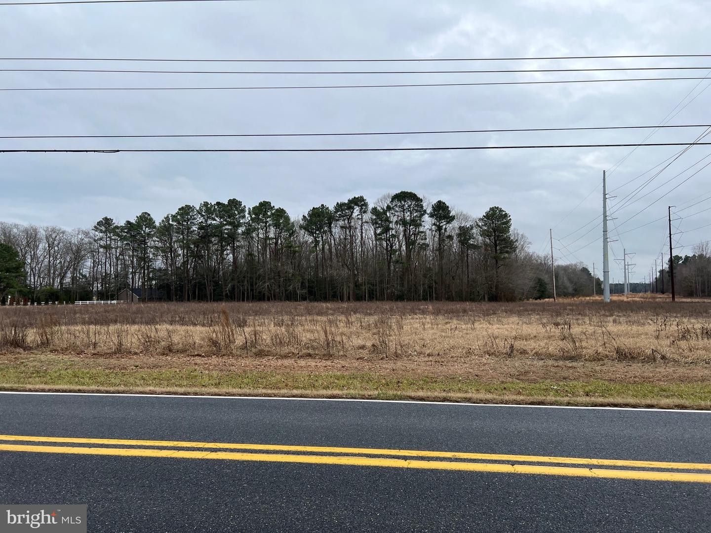 3.02 Acres, LOT 4 HARMONS HILL RD, Millsboro, DE 19966 Land and Farm