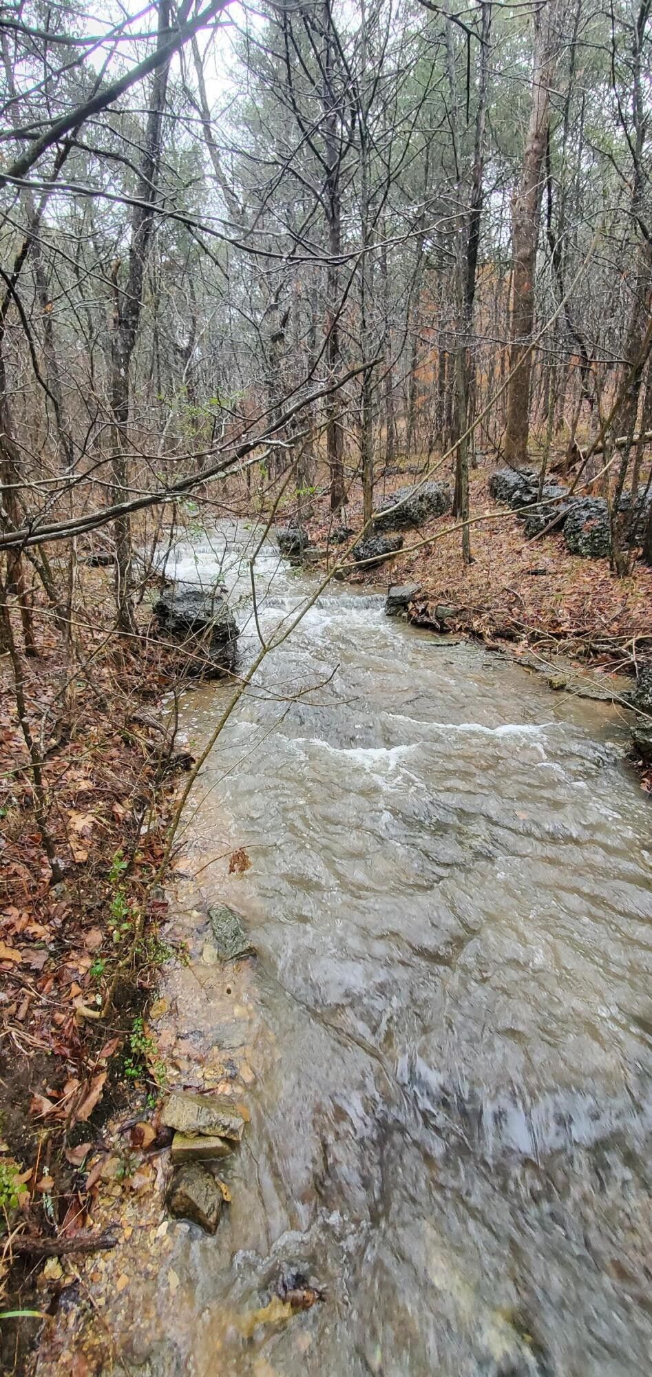 1.85 Acres, 000 State Highway F, Branson, MO 65616 Land and Farm