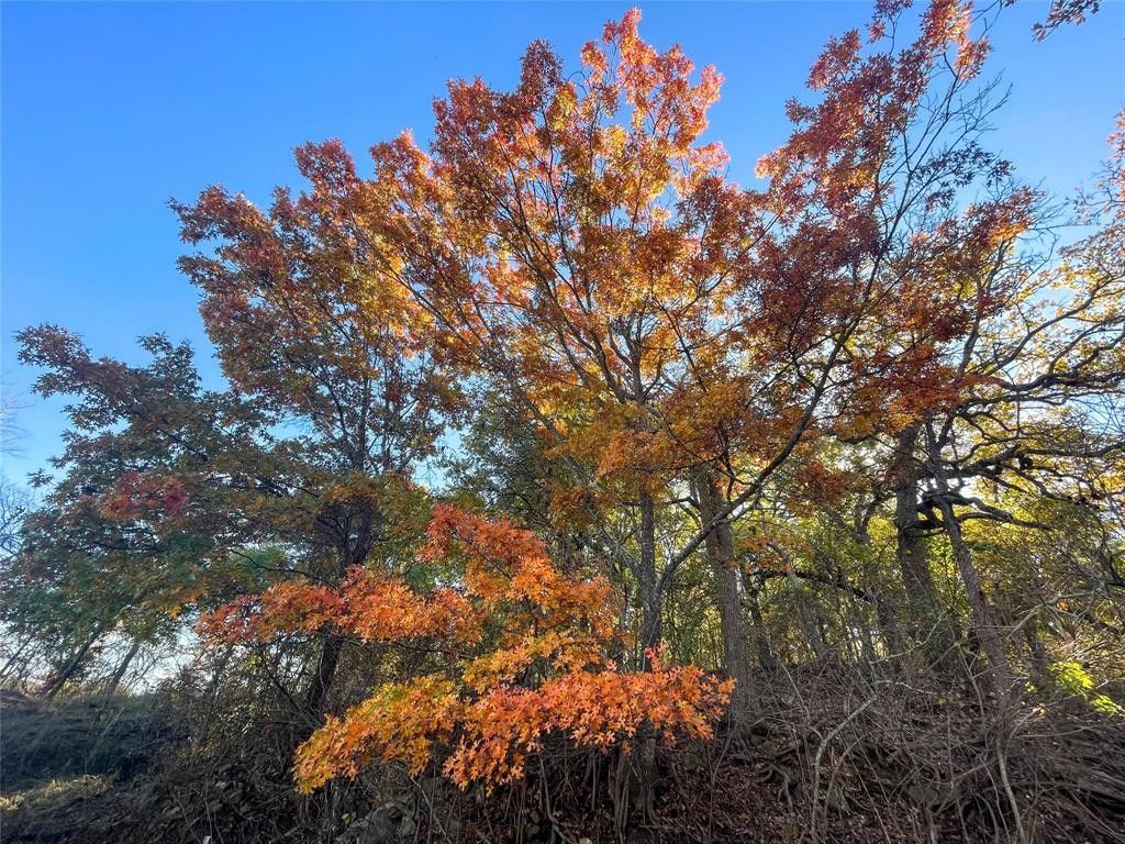 64 Acres, Tbd Highway 8, Desdemona, TX 76437 Land and Farm