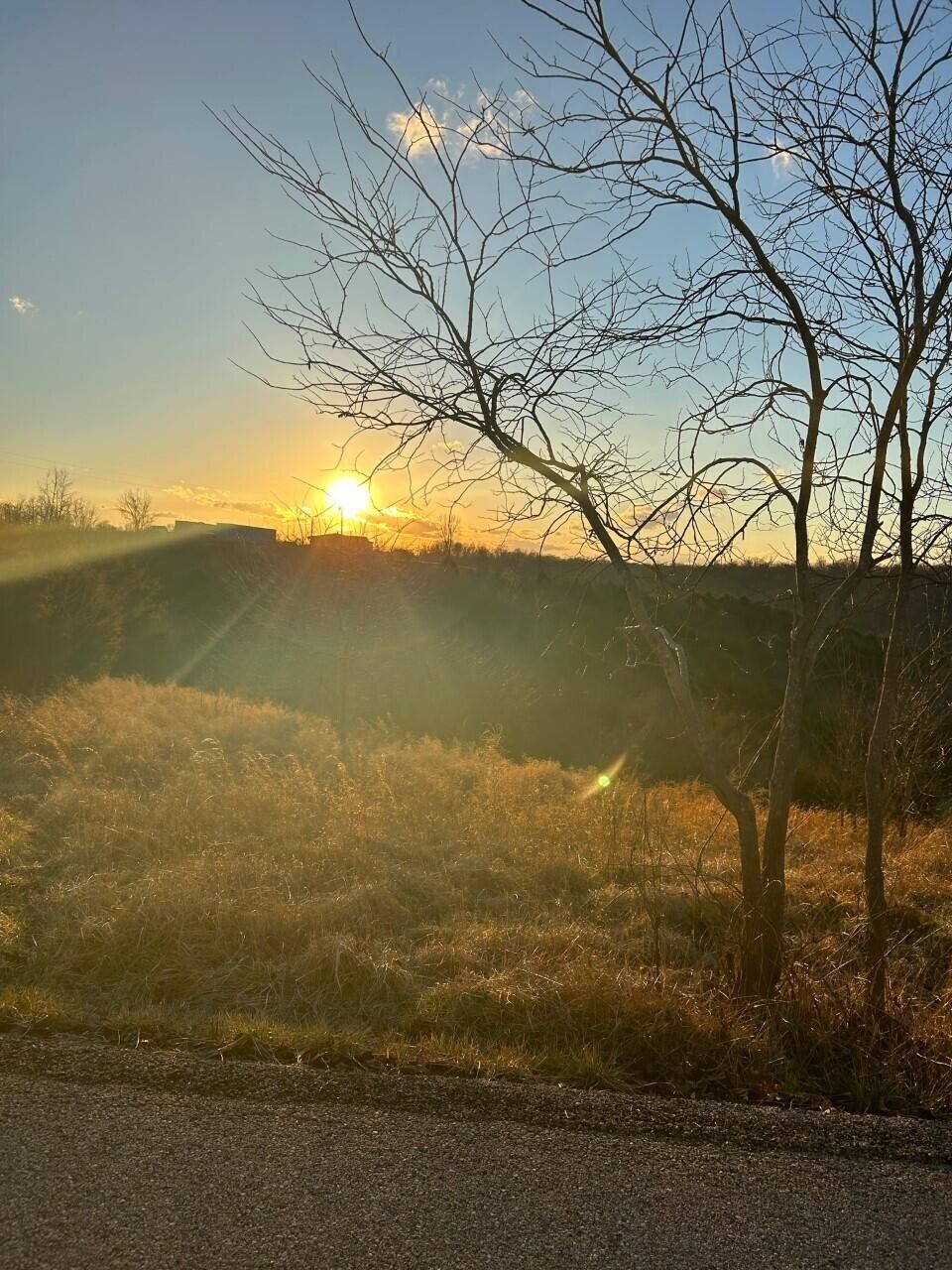 10.9 Acres, 682/684 Skinnersburg Road, Stamping Ground, KY 40379 Land