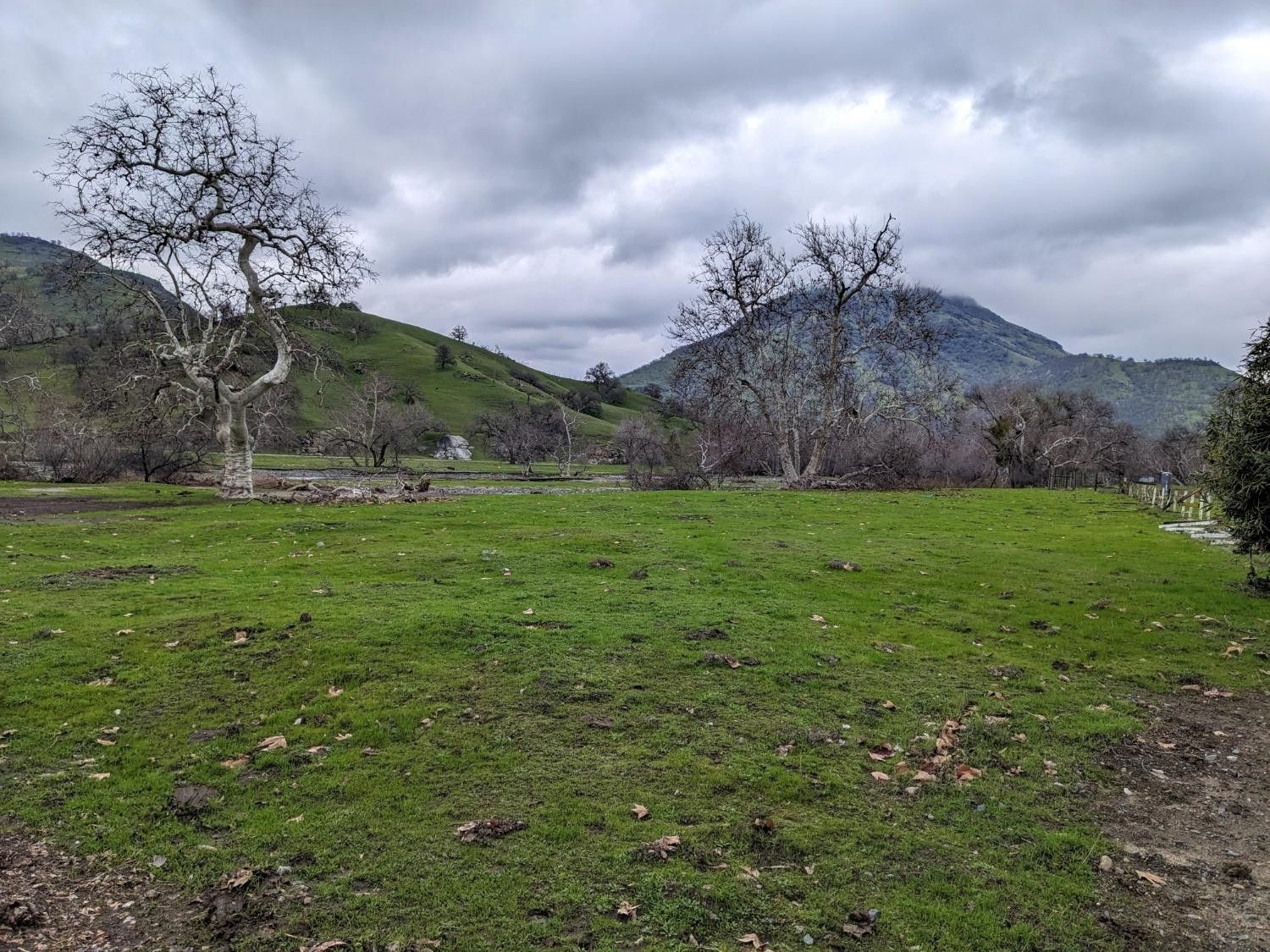 1.14 Acres, 6494 Live Oak Drive, Sanger, CA 93657 Land and Farm