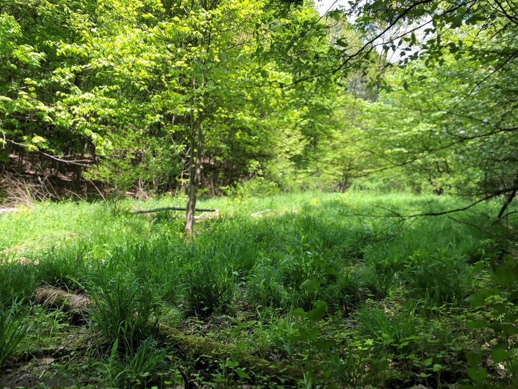 15.08 Acres, Gypsy Camp Hollow Road, Tyrone, PA 16686 Land and Farm