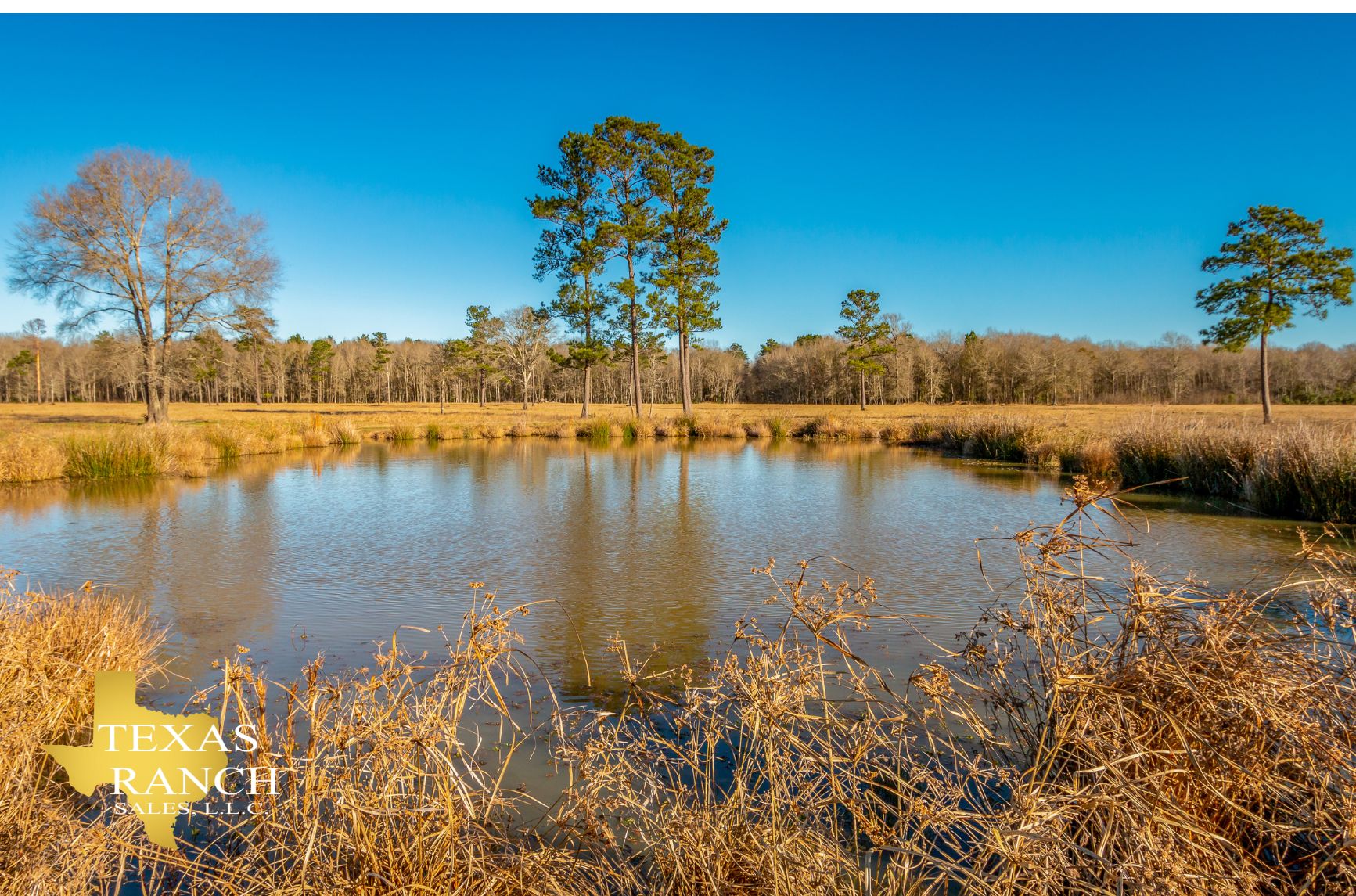 647 Acres, Hardin, TX 77575 Land and Farm