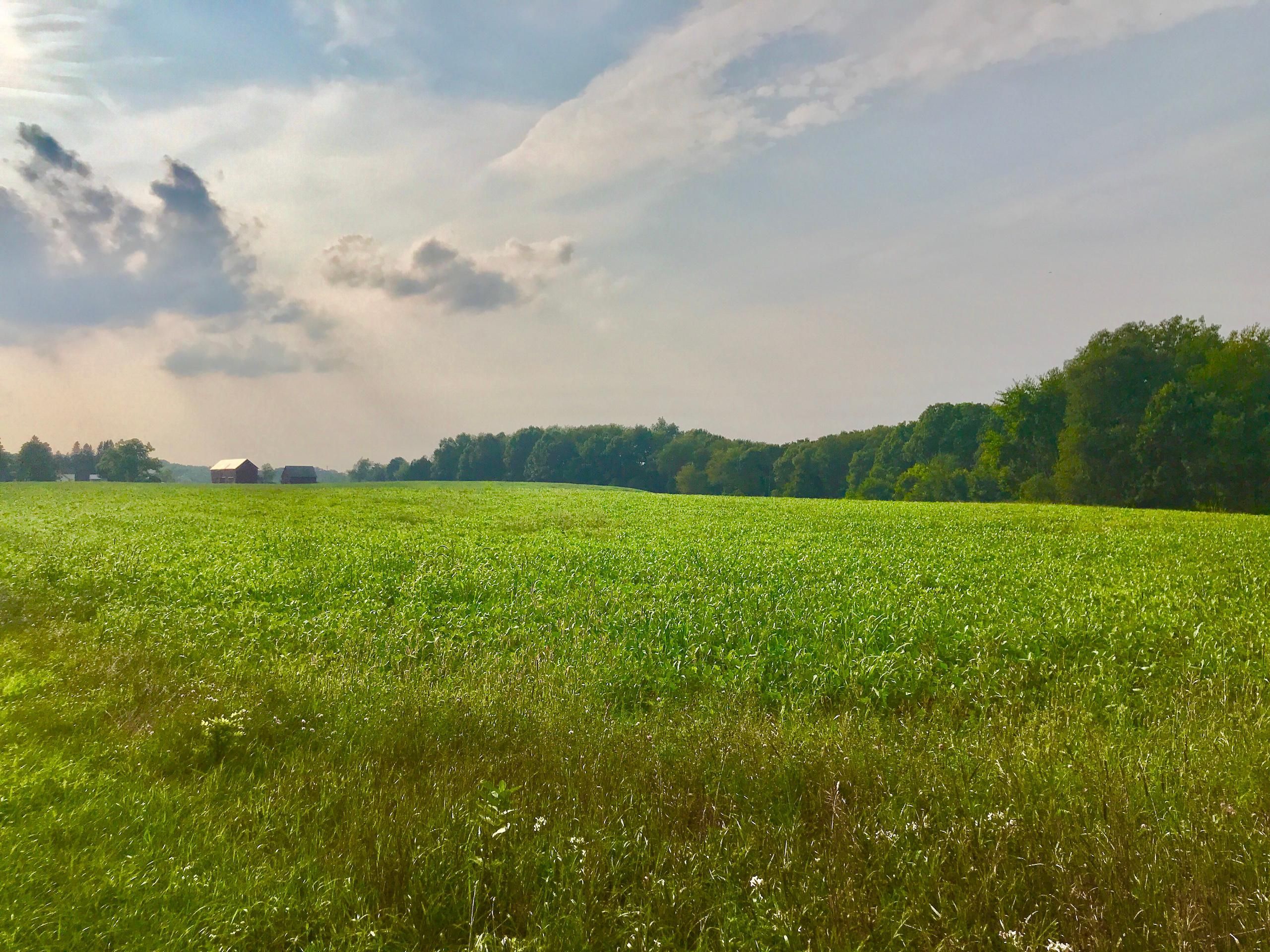 9154 Stelzer Road, Howell, MI 48855 Land and Farm