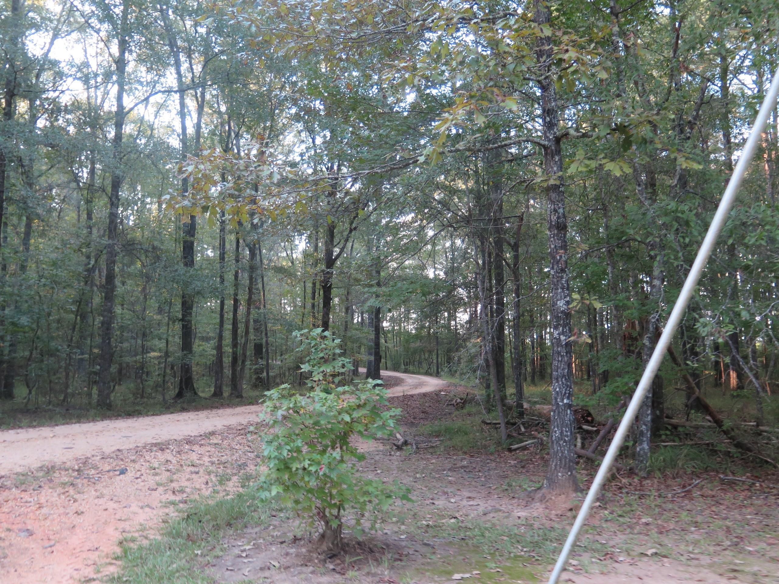 272 CR 208 Lot WP001, Louin, MS 39338 Land and Farm