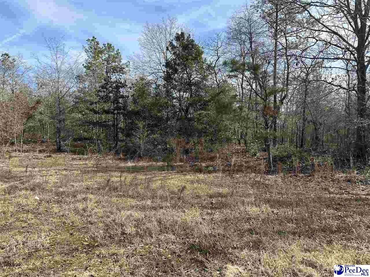 8.9 Acres, 8209 Hwy 102 (8.9 acres), Patrick, SC 29584 Land and Farm