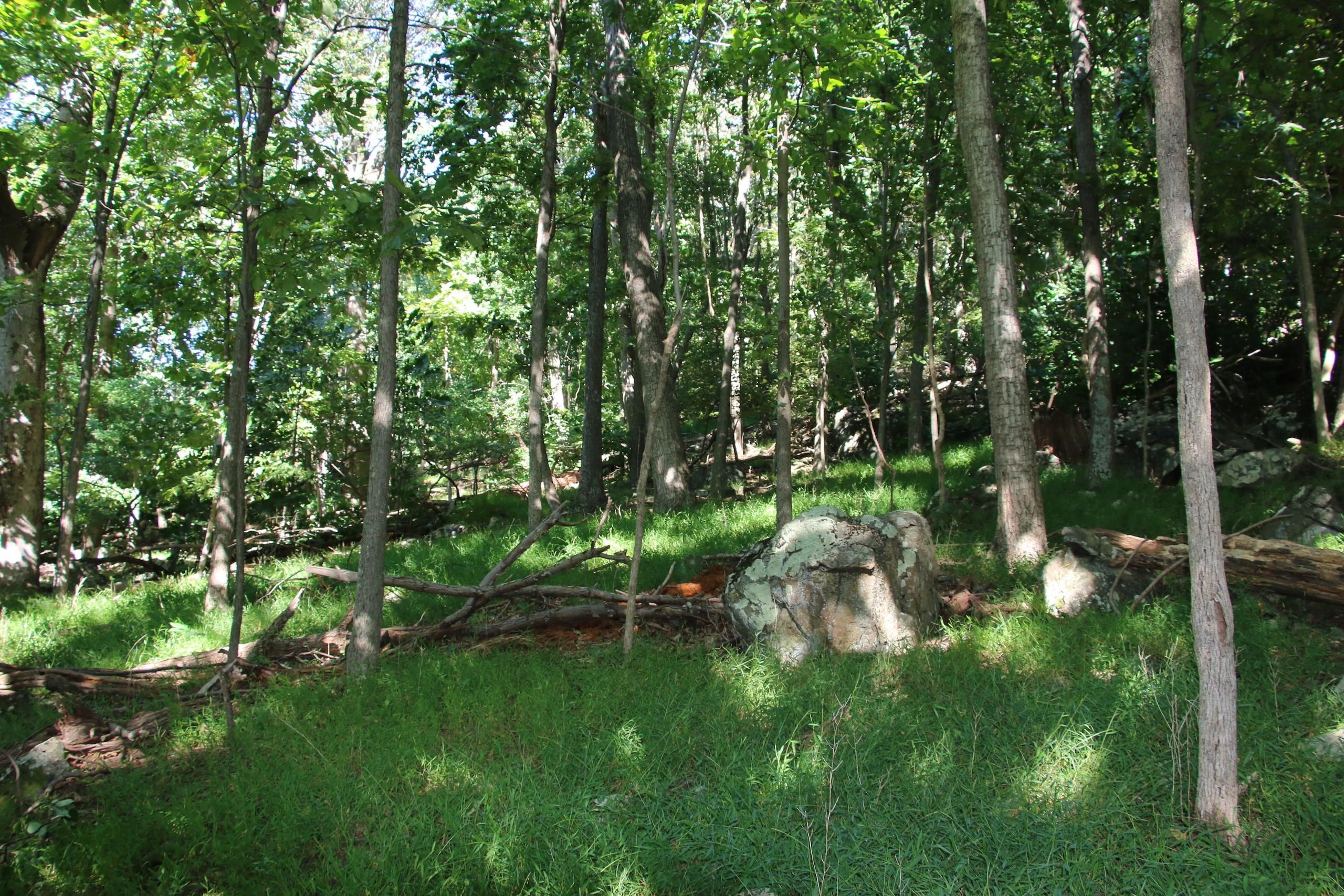 Shenandoah Valley Drive, LOTWP001, Front Royal, VA 22630 Land and Farm