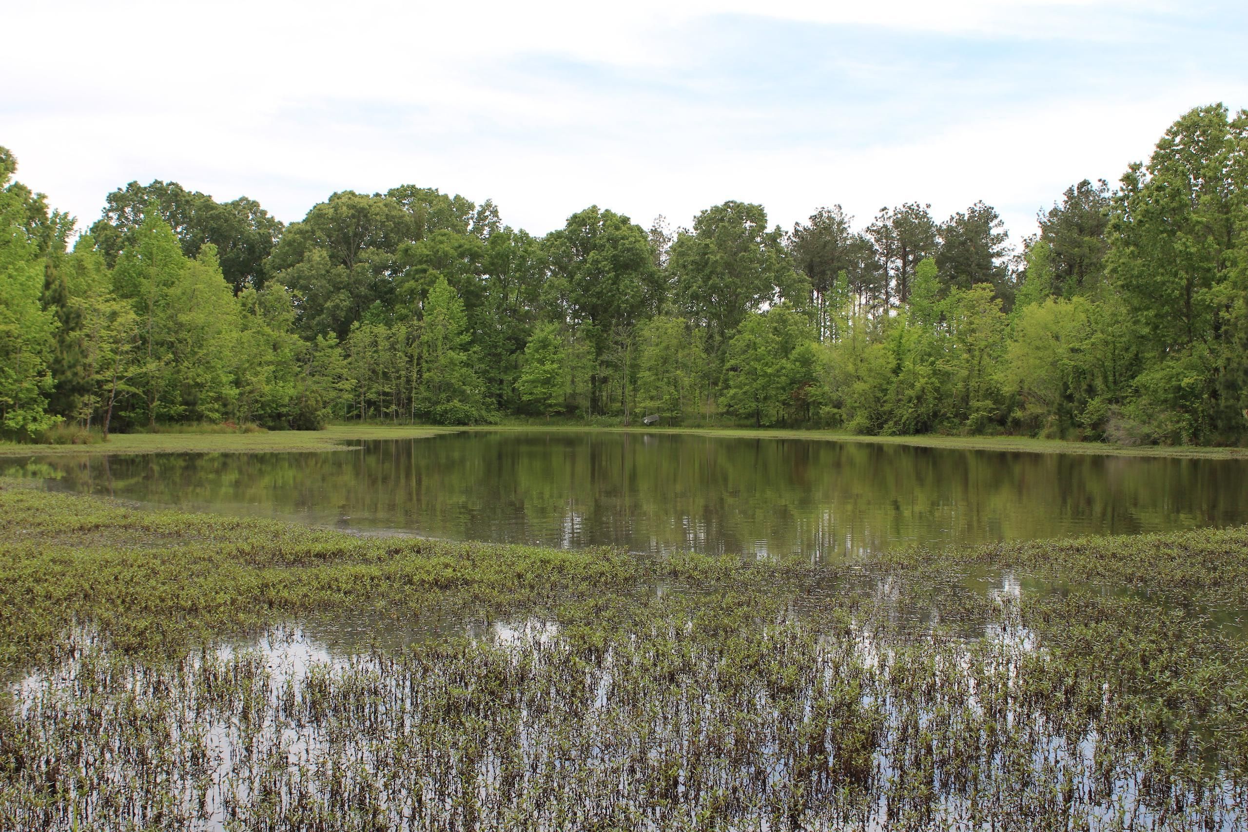 274 Acres, Old Port Gibson Road, LotWP004, Cayuga, MS 39175 Land and