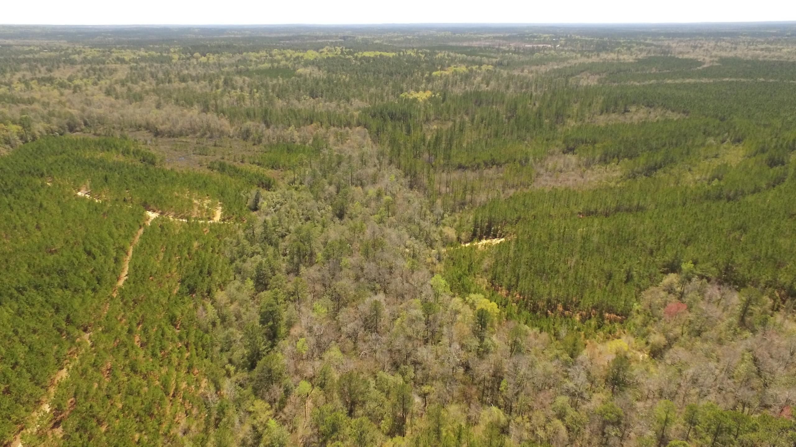 153 Acres, Hawthorne Road, LotWP001, Wagarville, AL 36585 Land and Farm