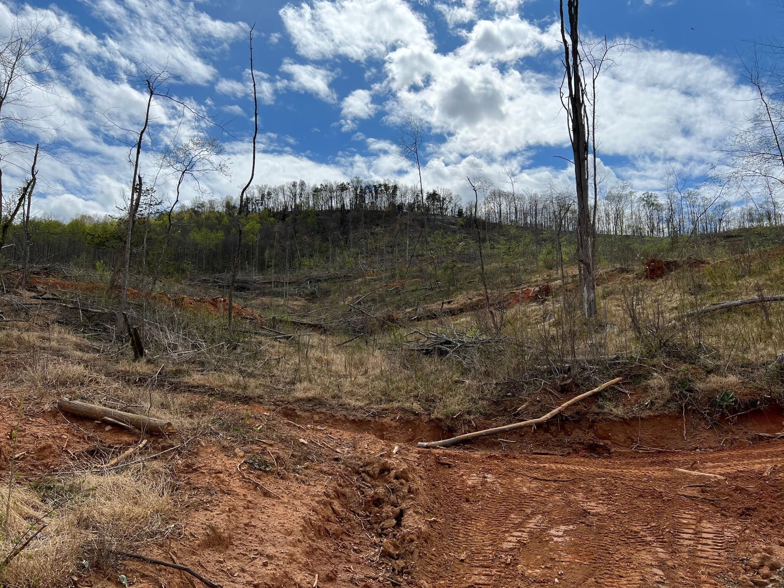 57 Acres, 901 Cove Gap Rd, LotWP001, Moravian Falls, NC 28654 Land