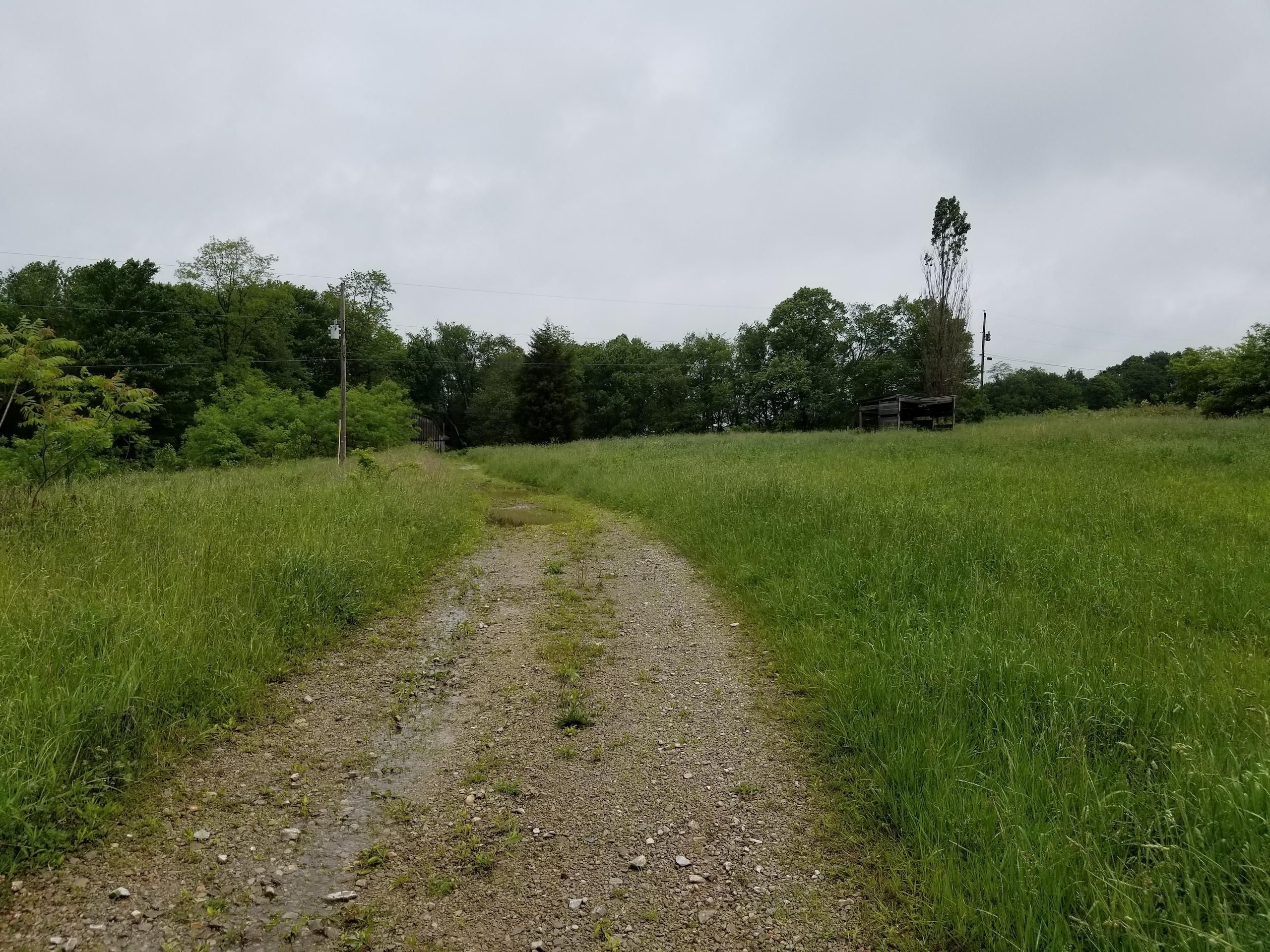 Mountain Road, LotWP001, Mill Run, PA 15464 Land and Farm