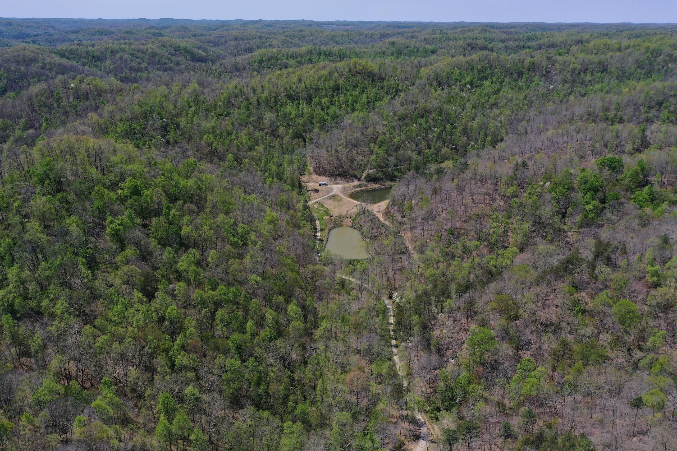 Cains Creek Rd. Lot Wp001, Blaine, KY 41124 Land and Farm