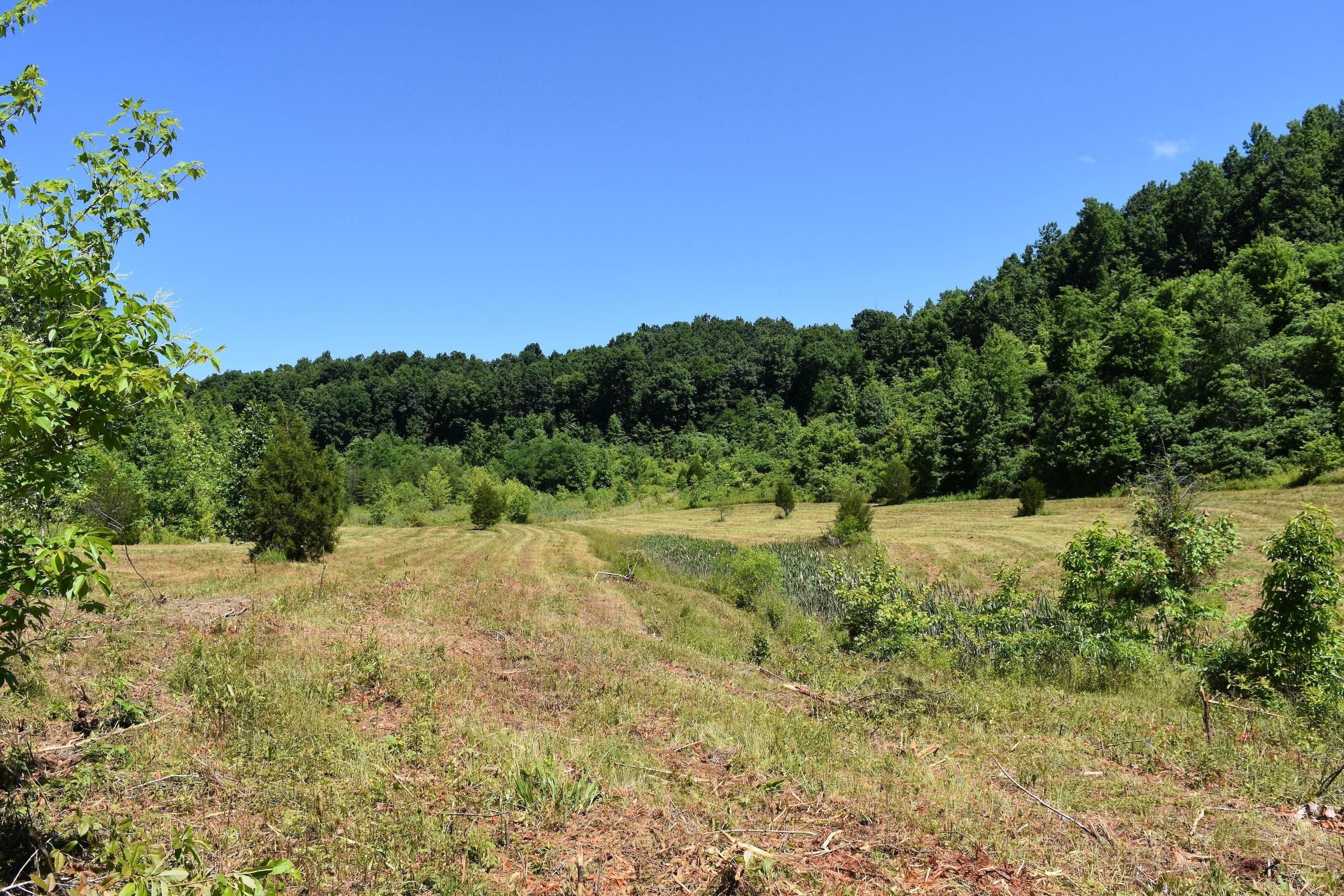 75 Acres, Tunnel Branch Road, LotWP002, Argillite, KY 41121 Land and