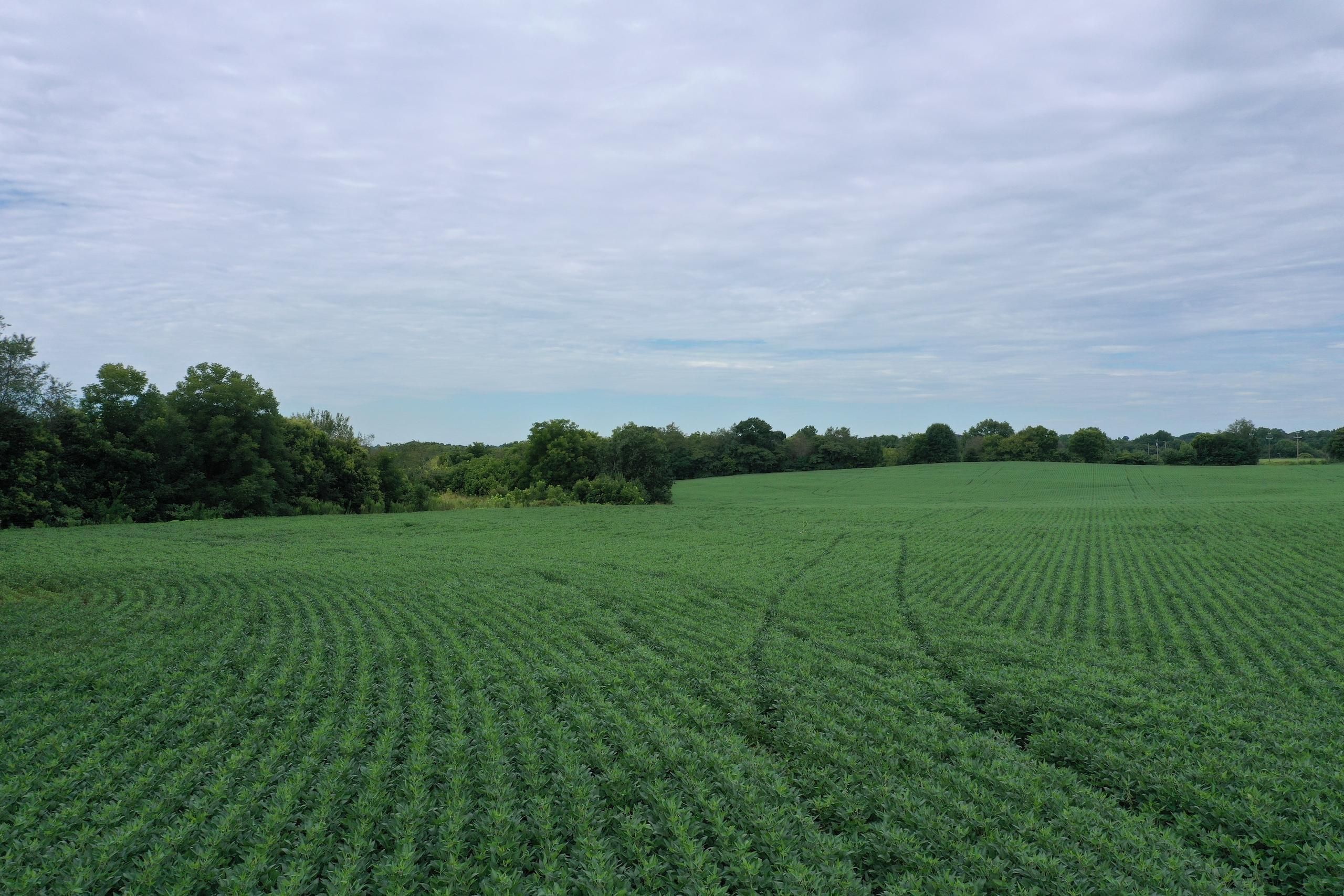 46.39 Acres, 128 b Road, Shelby, NC 29152 Land and Farm
