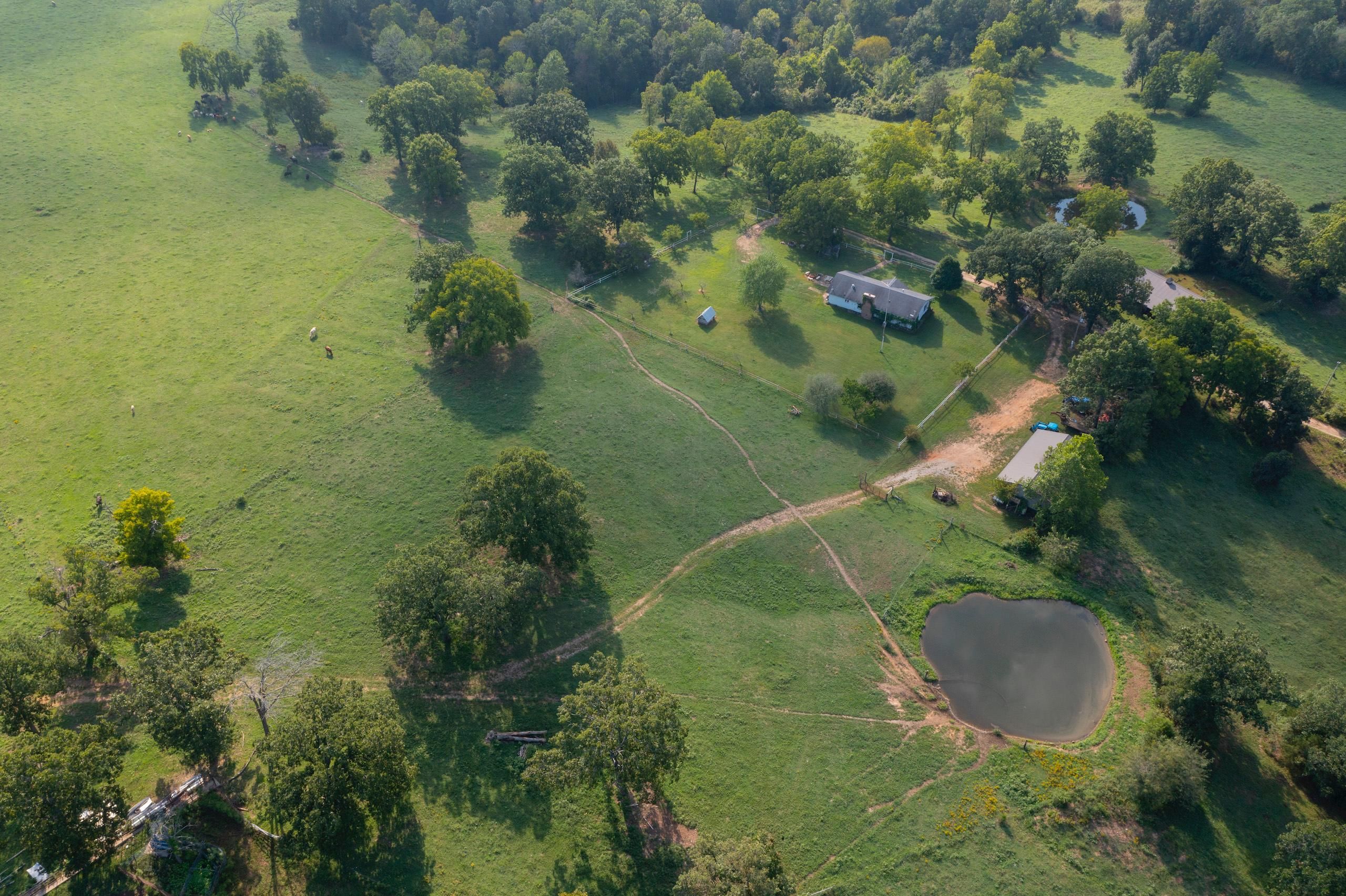 640 Acres, 1569 County Road 920, Thornfield, MO 65672 Land and Farm