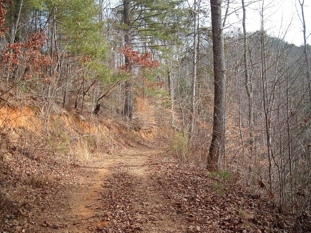 4.2 Acres, Lot 12 Cedar Cliff/Stovall, Tuckasegee, NC 28783 Land and Farm