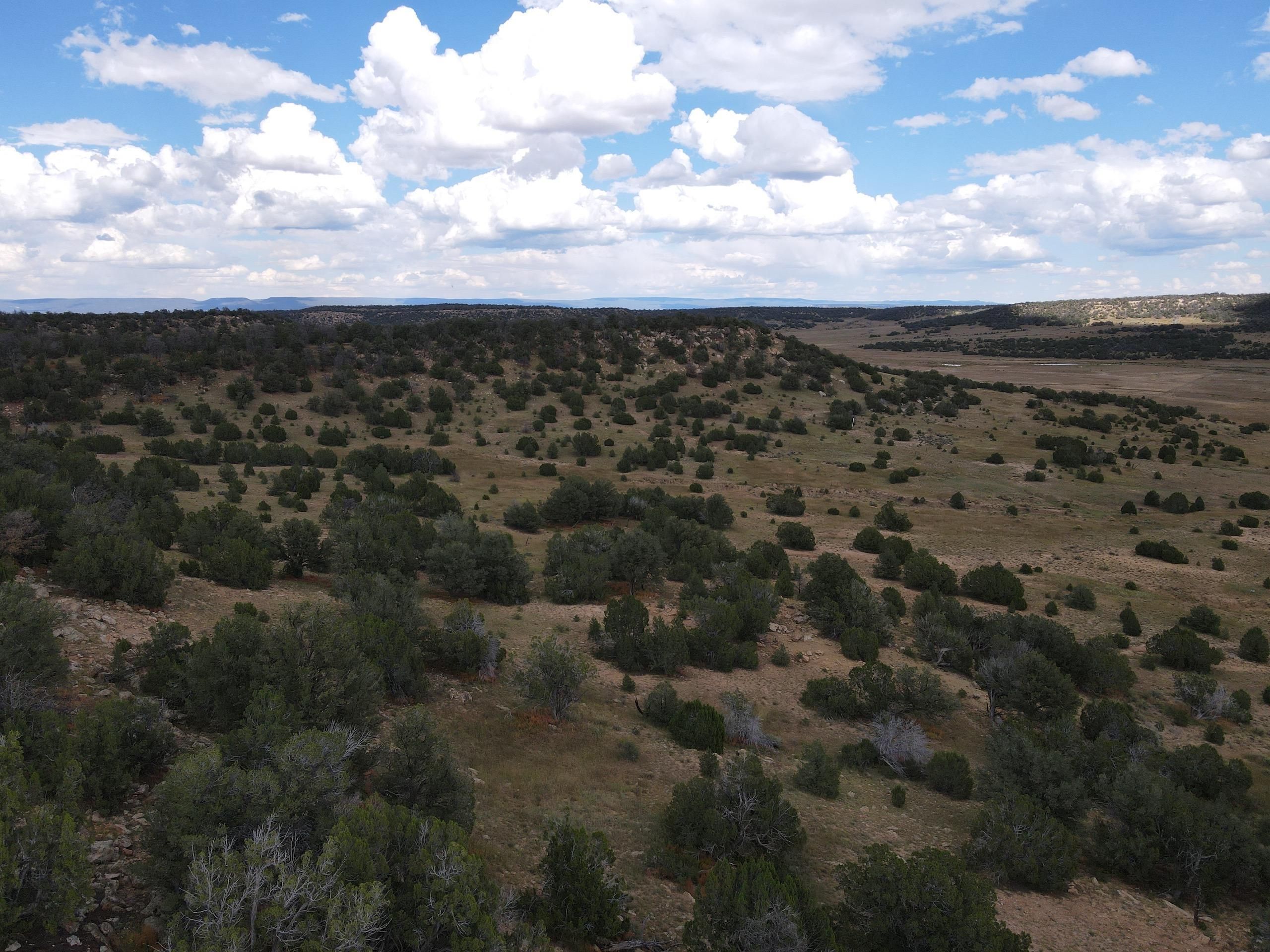 640 Acres, R16W, Ramah, NM 87321 Land and Farm
