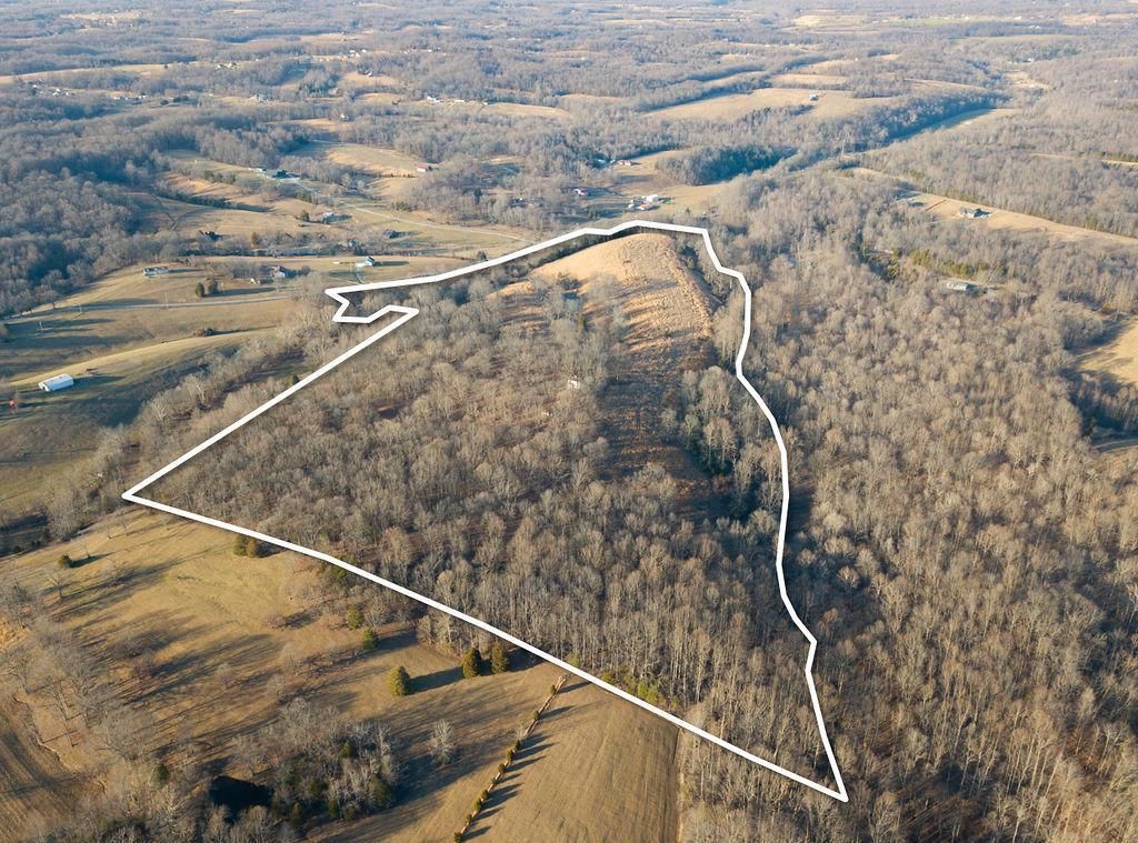 65.15 Acres, Old Mountain Vernon Road, LotWP001, Bethpage, TN 37022