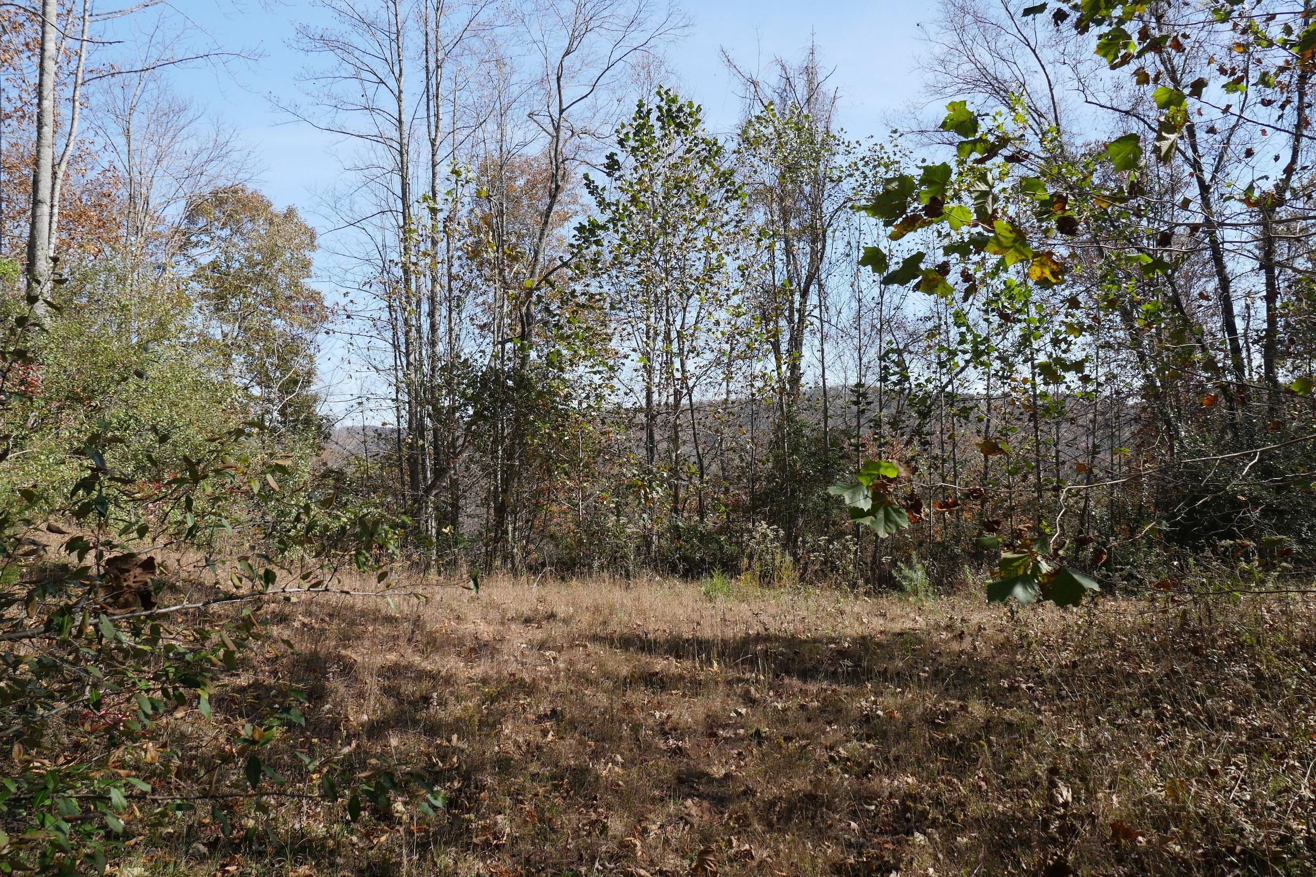 North Fork River Road, LotWP001, Saltville, VA 24370 Land and Farm