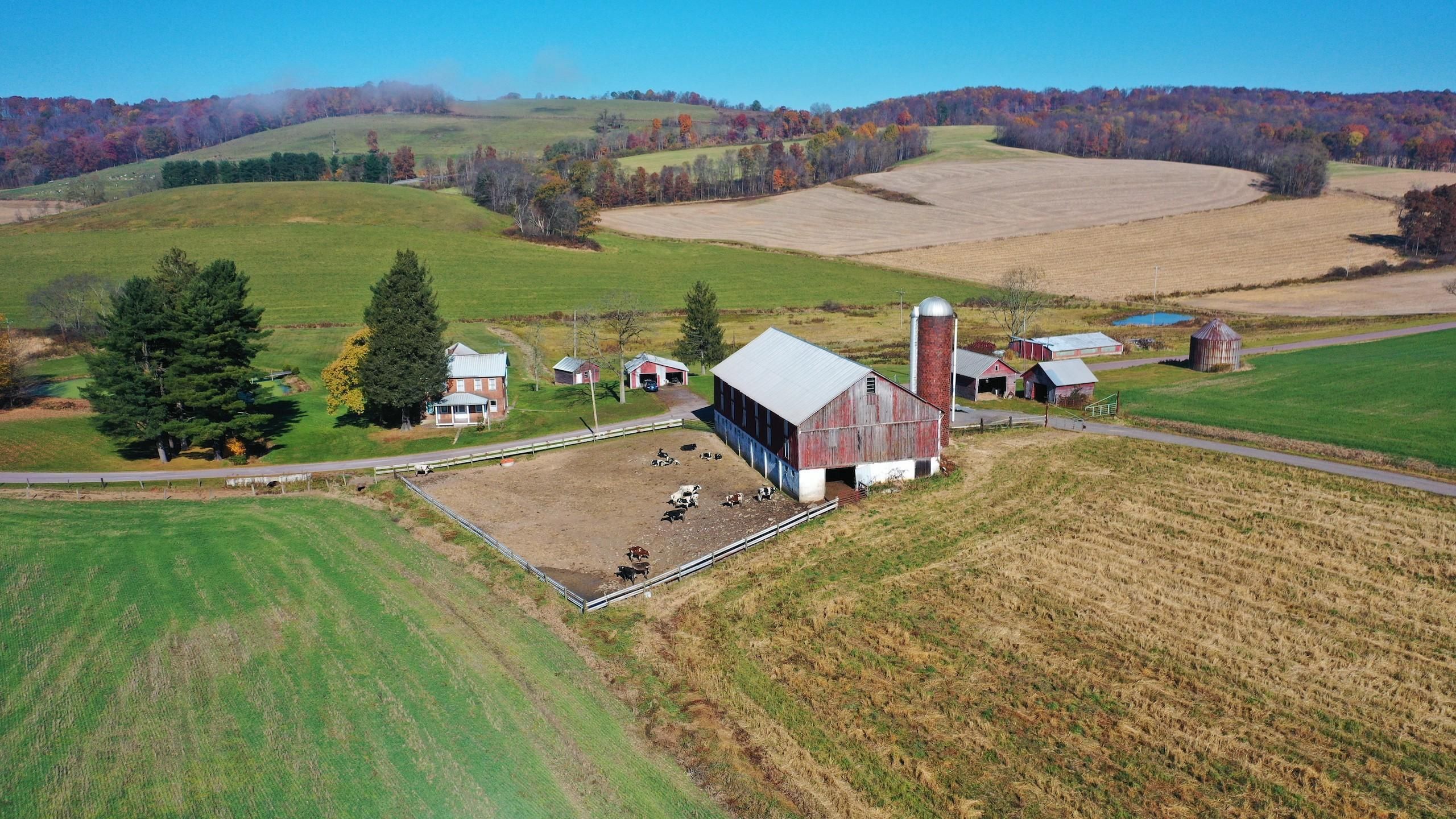 233 Turkeyfoot Trail, Markleton, PA 15551 Land and Farm