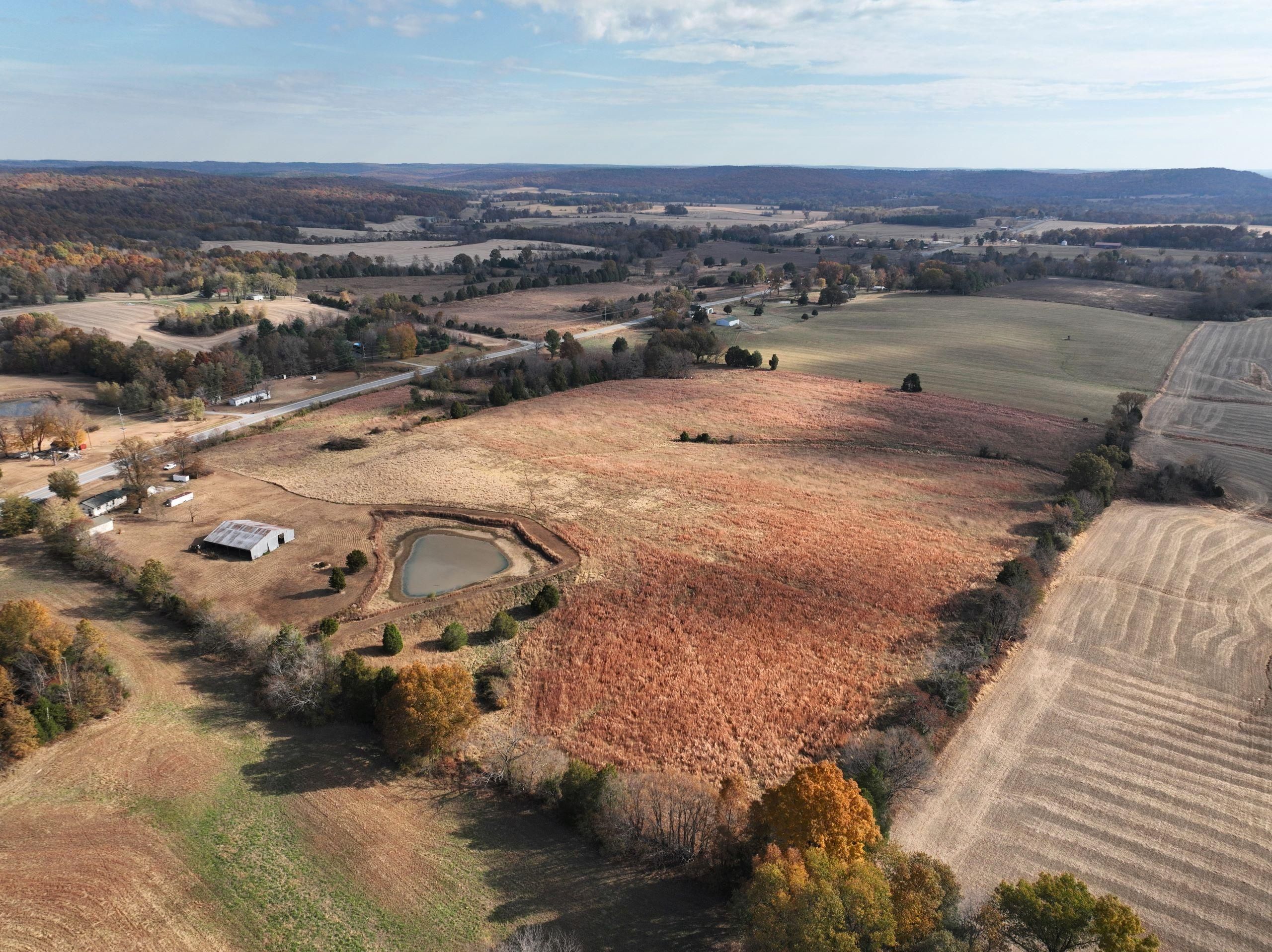 30.89 Acres, State Route 147, Lot WP001, Vienna, IL 62995 Land and Farm