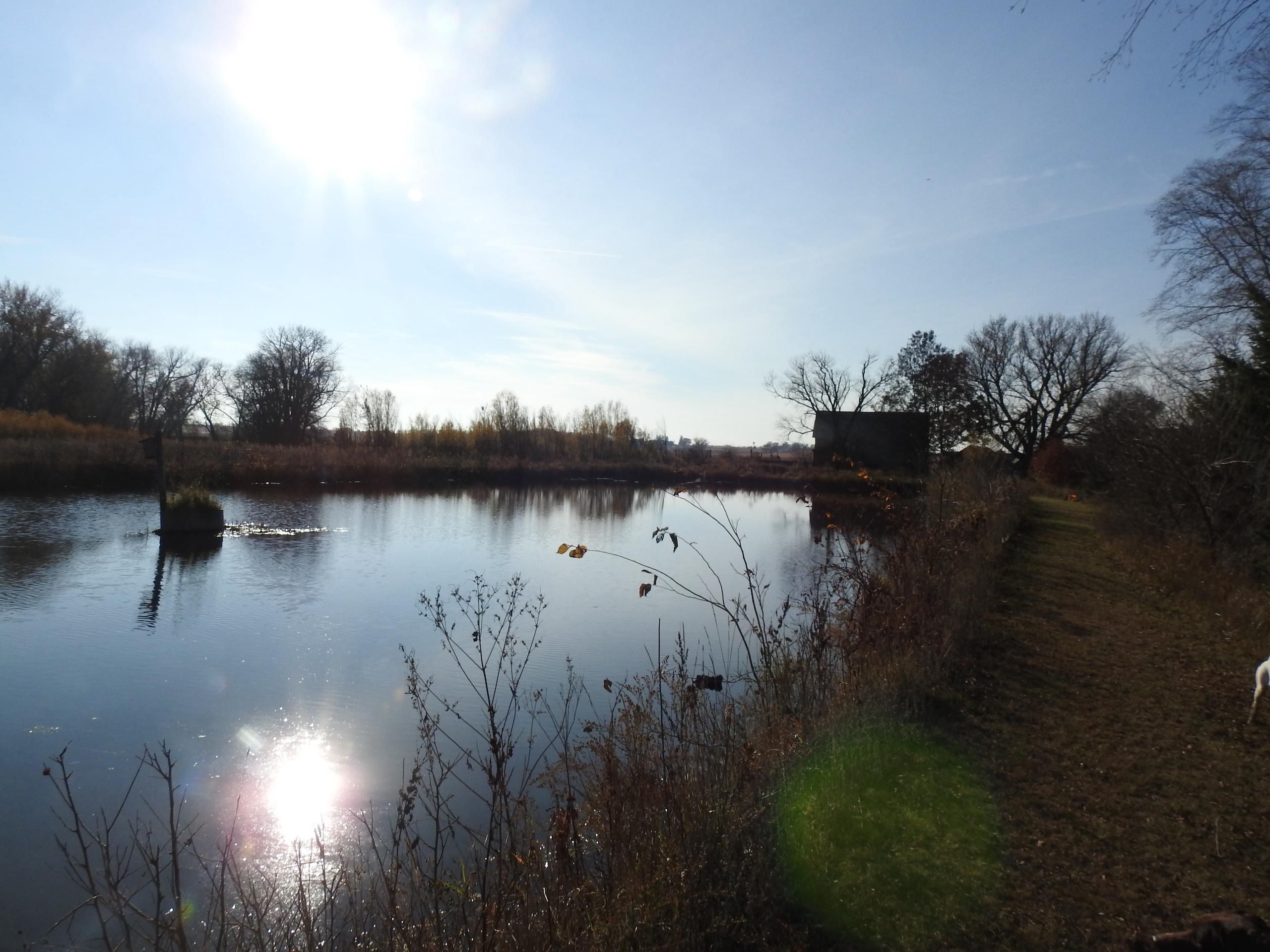 2920 230th Street, LotWP001, Readlyn, IA 50668 Land and Farm