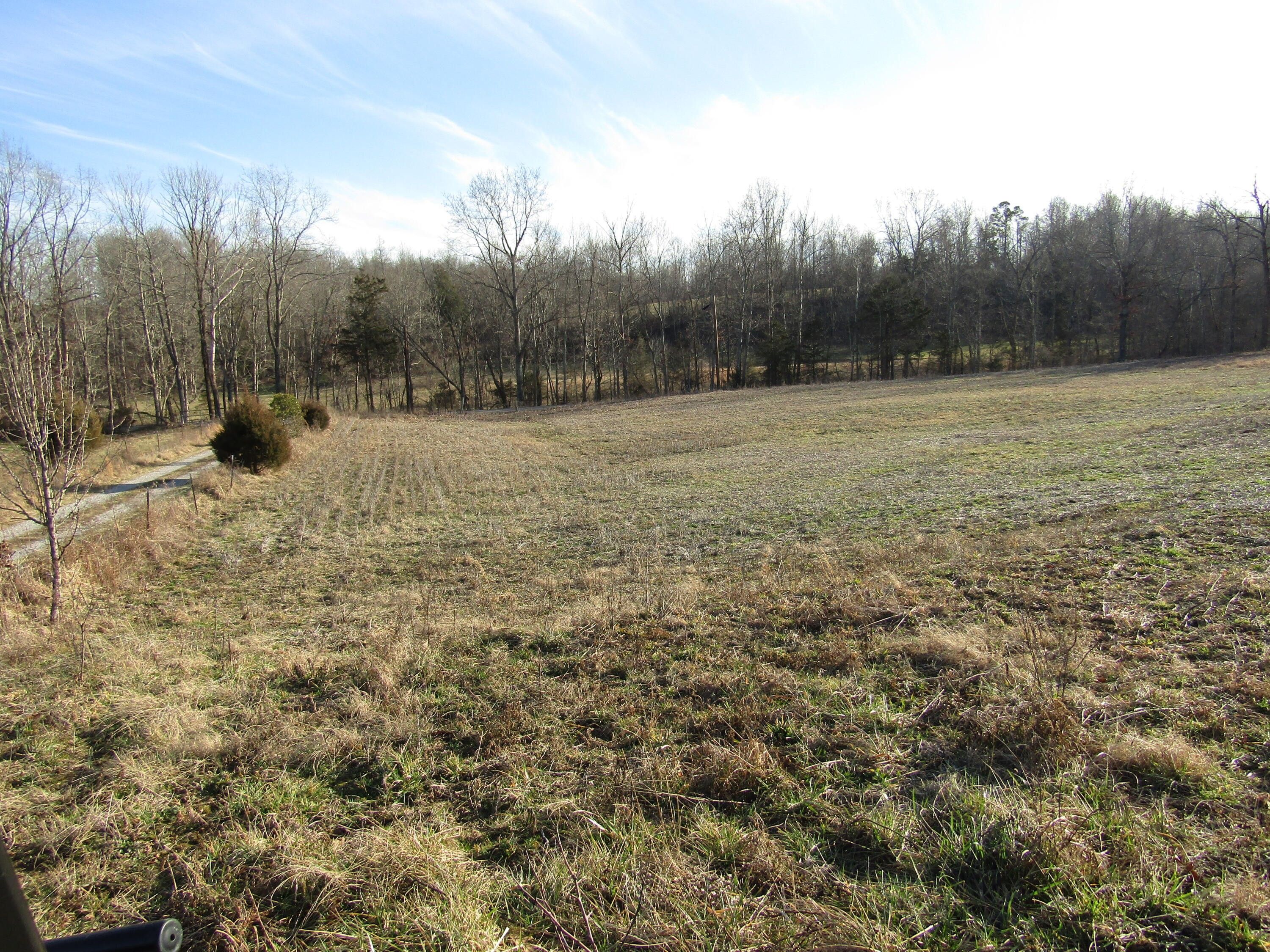 8.1 Acres, 9999 RD Floyd Road, Eubank, KY 42567 Land and Farm
