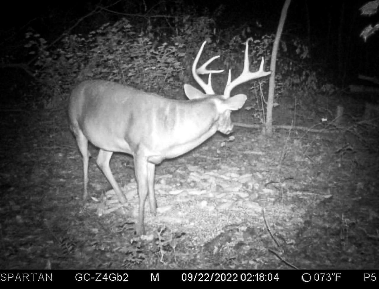 TBD Centerville Rd, LotWP001, Latta, SC 29565 Land and Farm