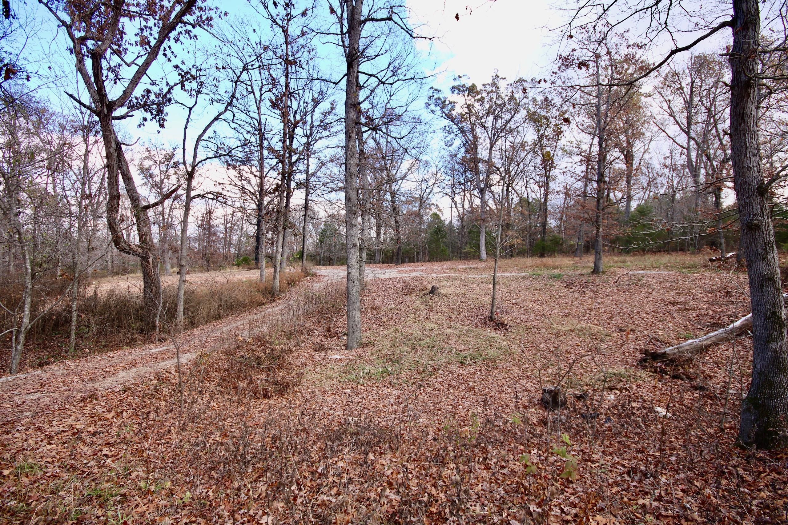 3.3 Acres, 7577 E State Hwy 90, Pineville, MO 64586 Land and Farm