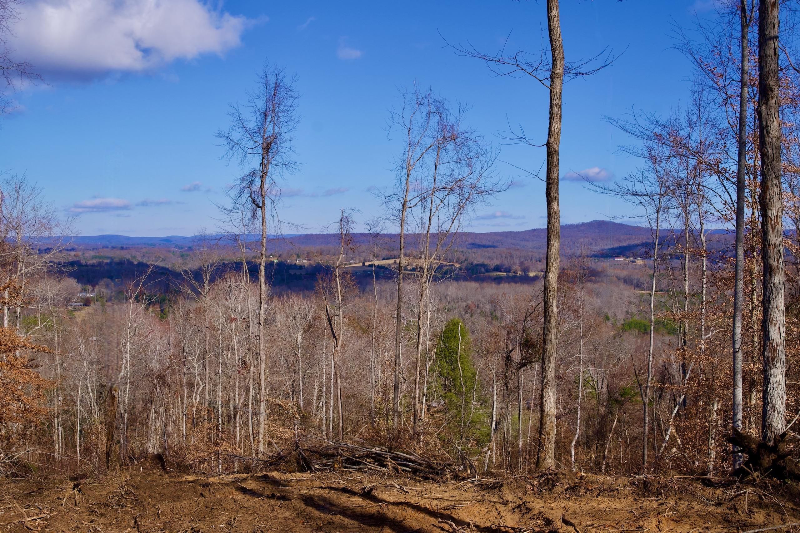 31.2 Acres, Bald Knob Road, LotWP001, Spencer, TN 38585 Land and Farm