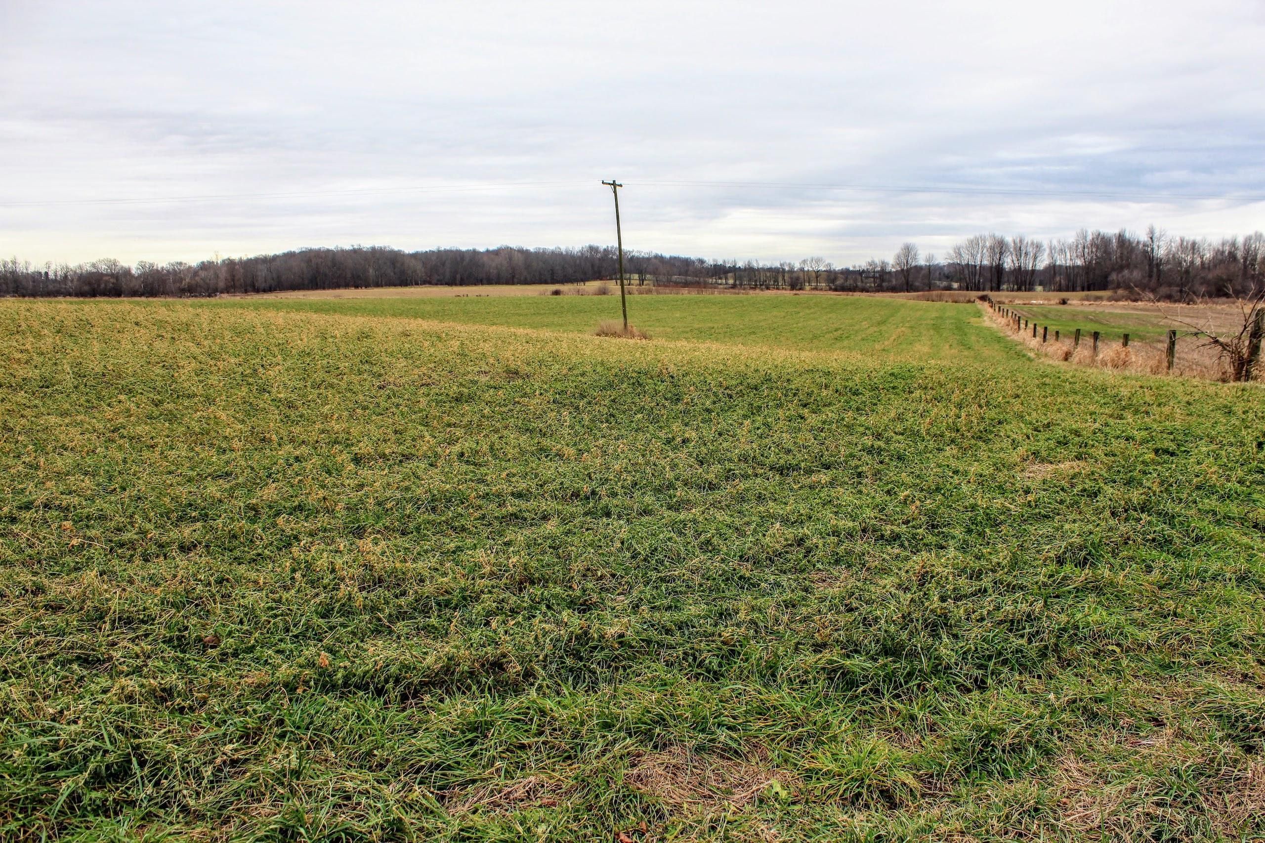 4414 E Dowling Rd, Dowling, MI 49050 Land and Farm