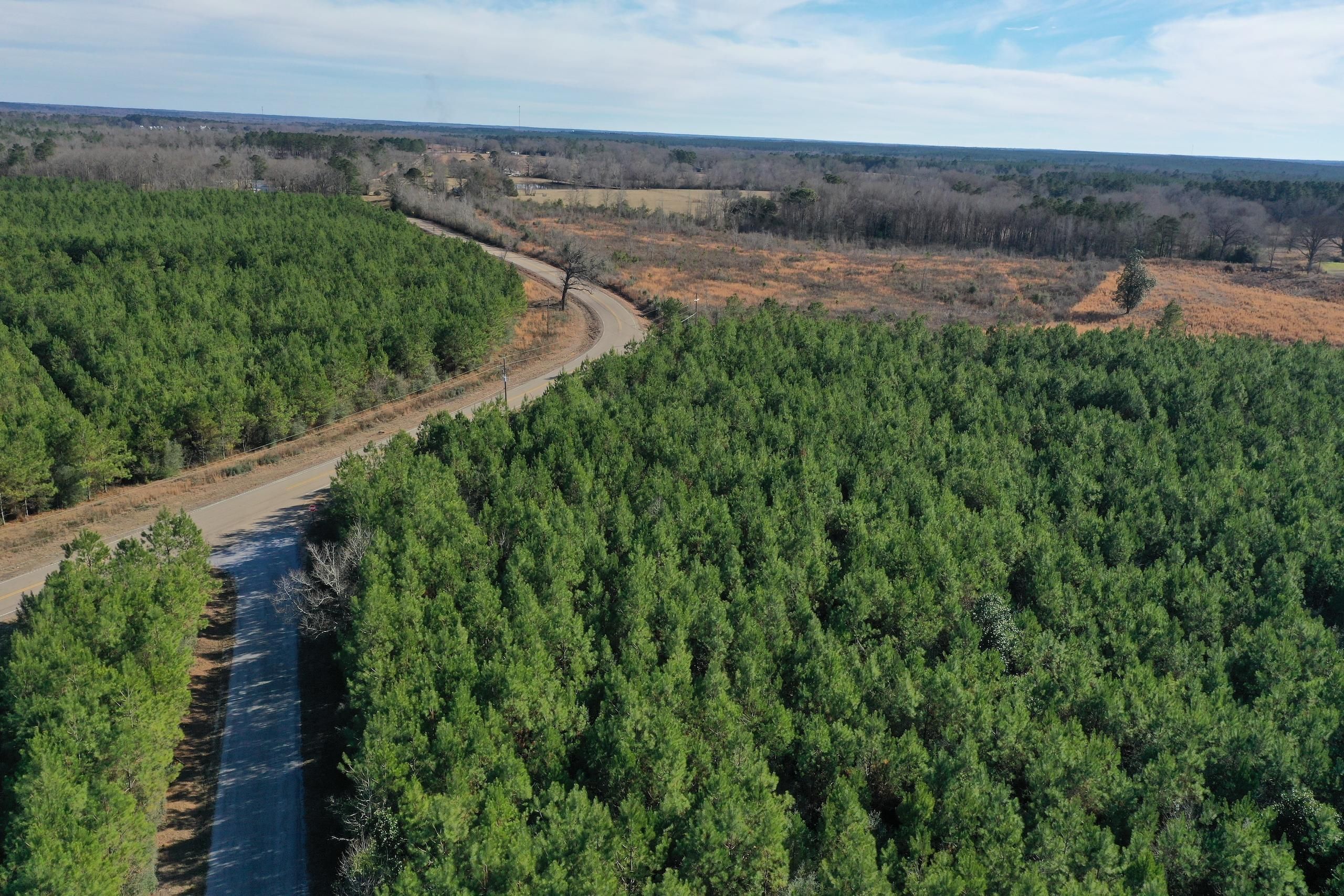 9.48 Acres, Vernon Lane & Hwy 1053, LotWP002, Kentwood, LA 70444 Land and Farm