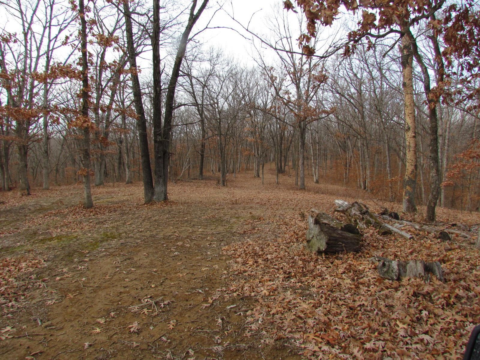 173 Acres, Rolling Hills Road, Novinger, MO 63559 Land and Farm