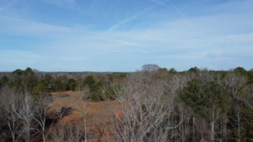 4.6 Acres, Patrick Street, Waverly, AL 36879 Land and Farm