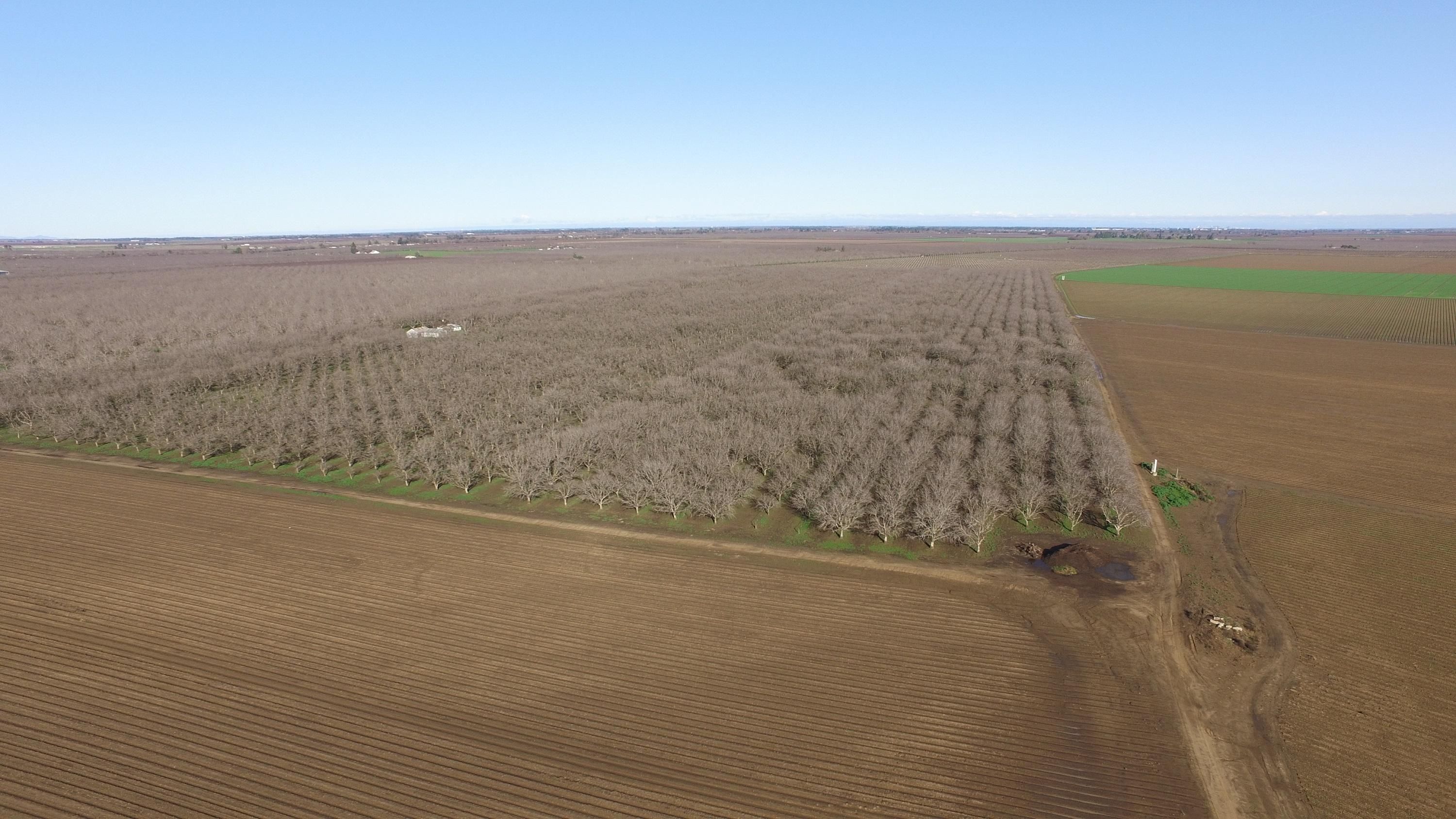 Putah Creek Road, Winters, CA 95694 Land and Farm