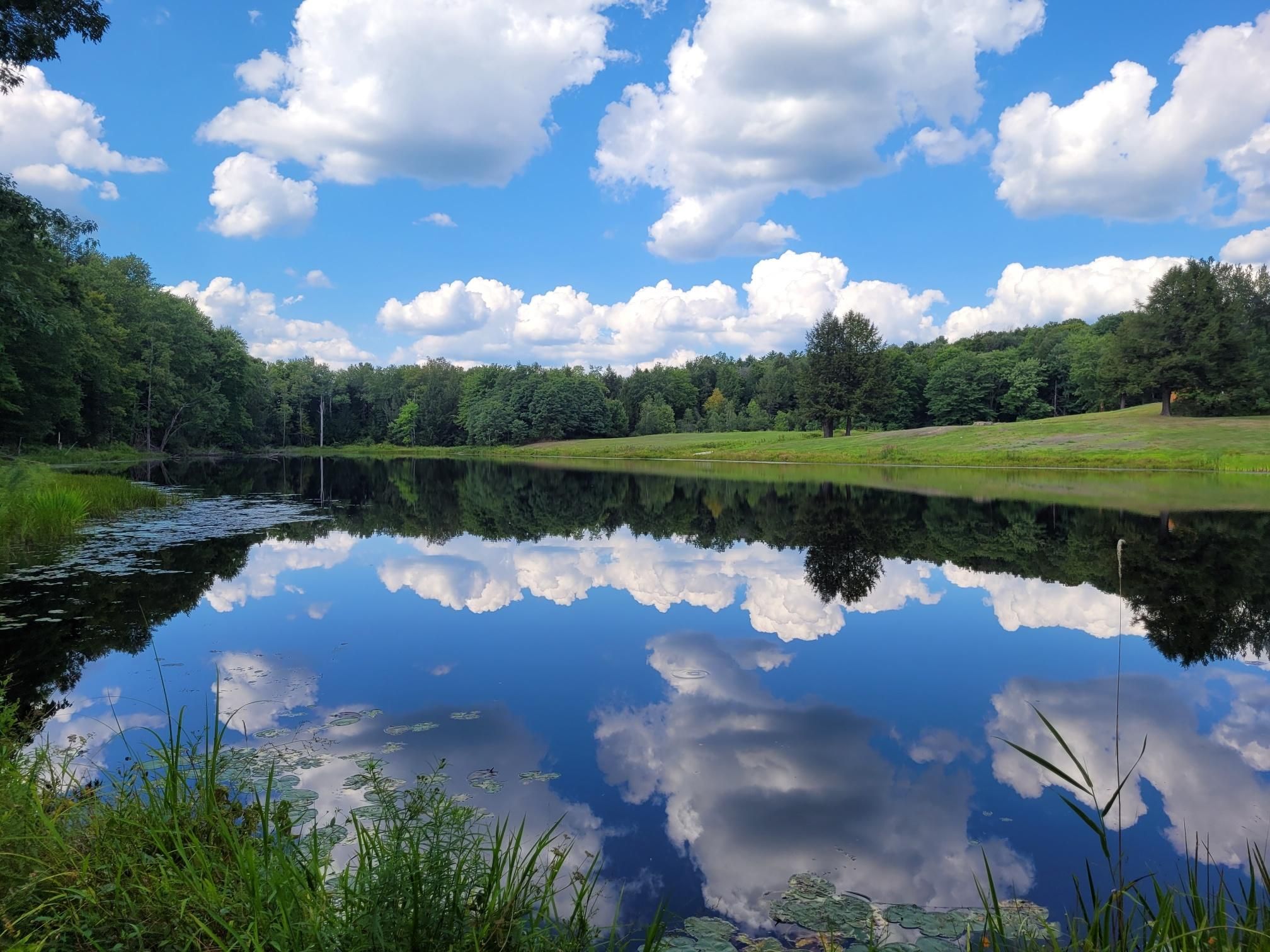 149 Savage Road, Waymart, PA 18472 MLS pw230155 Land and Farm